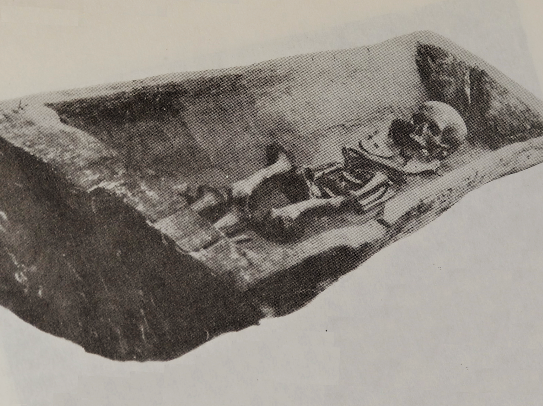 Arhiva poljskog muzeja