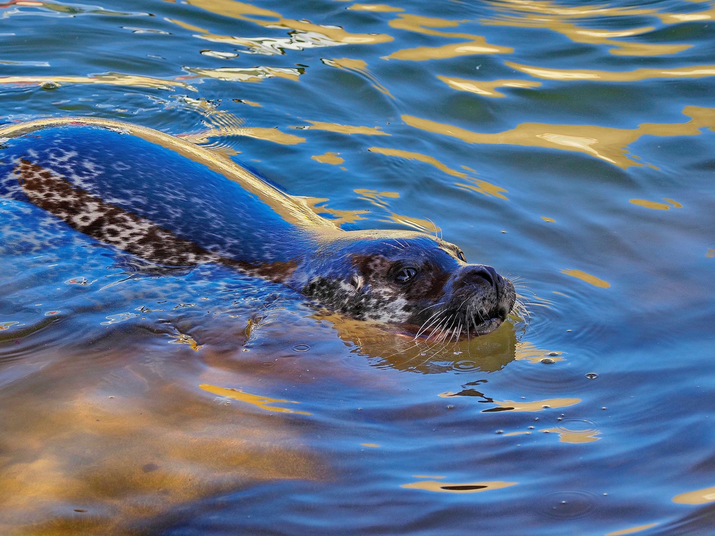 Image: 1008505010, License: Royalty-free, Restrictions: , Model Release: no, Credit line: Glyn Fletcher / Alamy / Profimedia