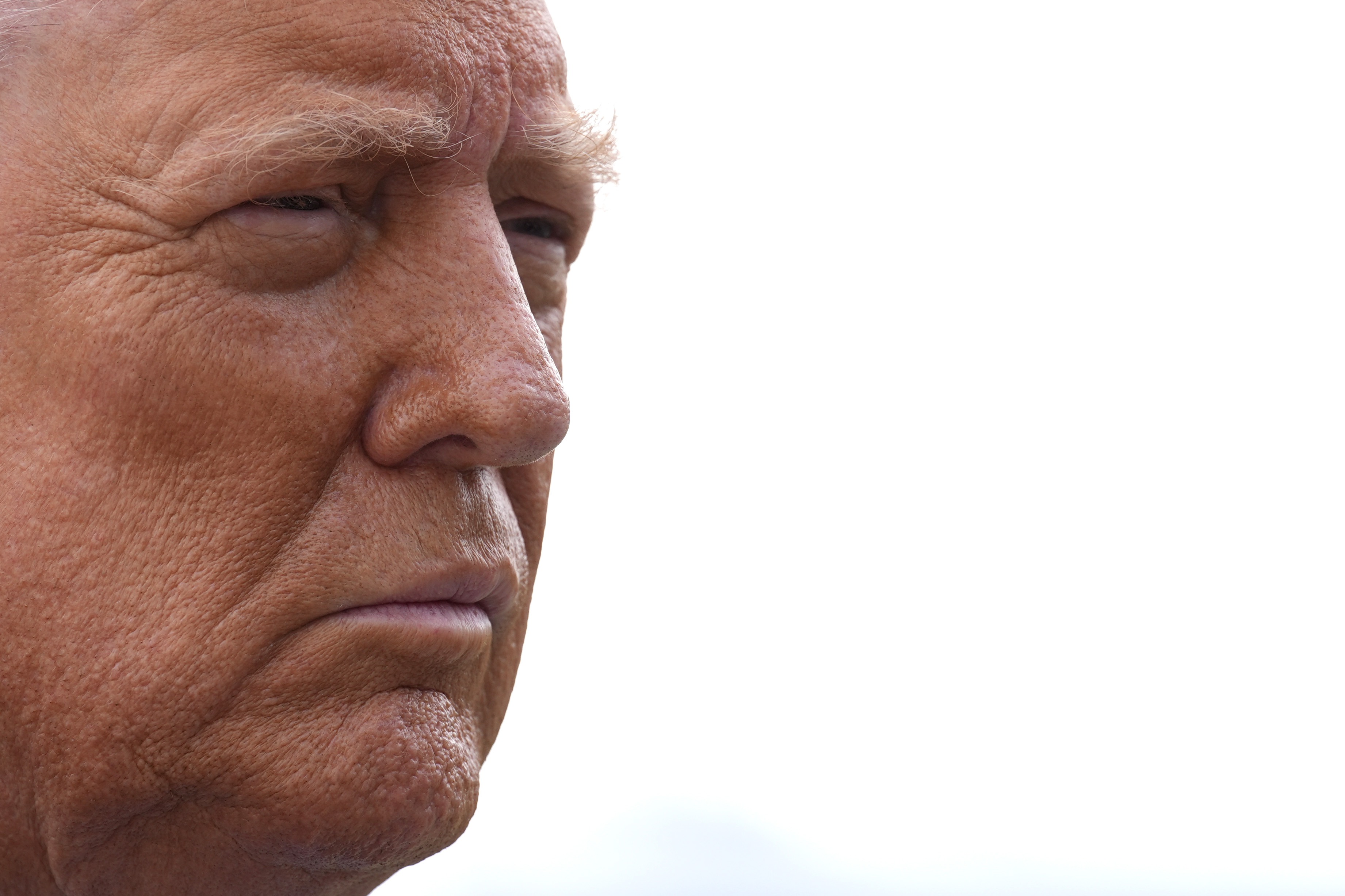 Donald Trump Donald Tramp 13821541.jpg