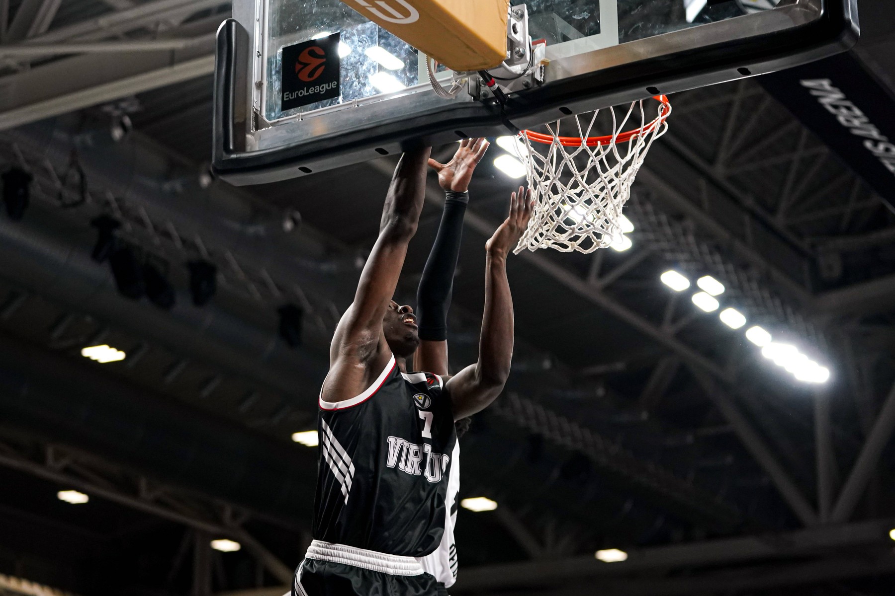 Virtus Bologna - Partizan profimedia-1082060557.jpg