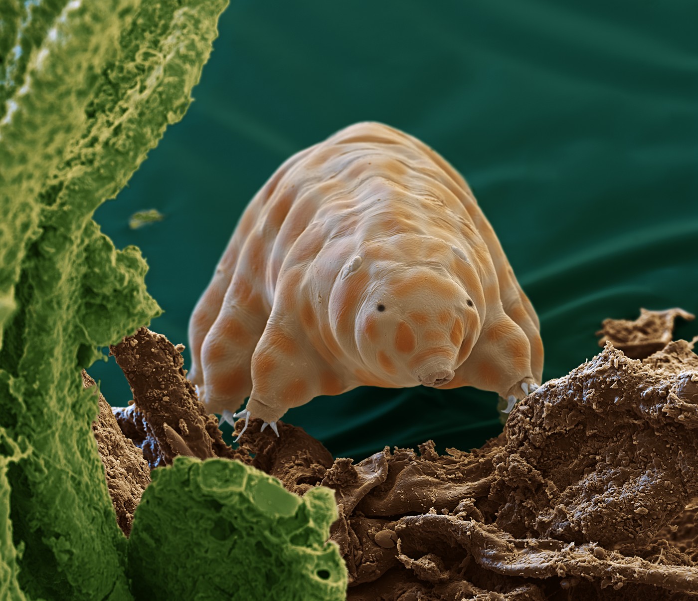 profimedia-0754743114