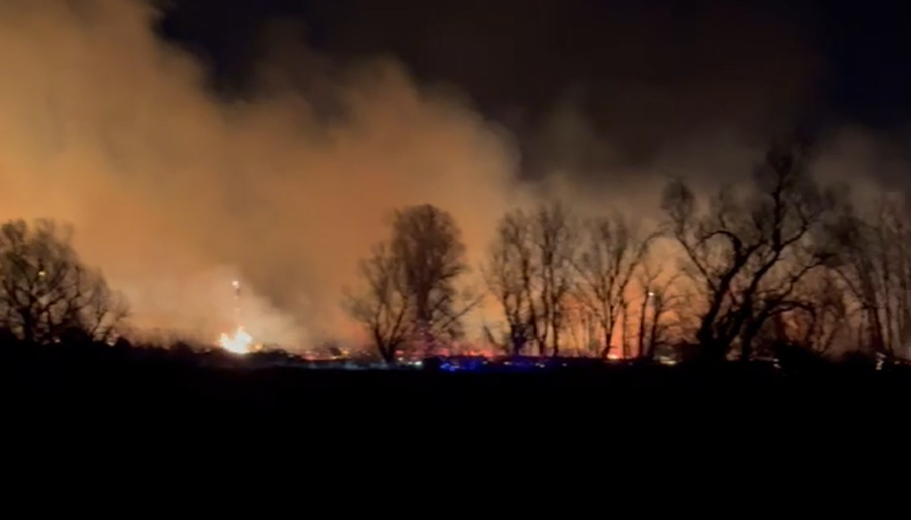 Beočin požar gori šuma Foto Nova (2).jpg