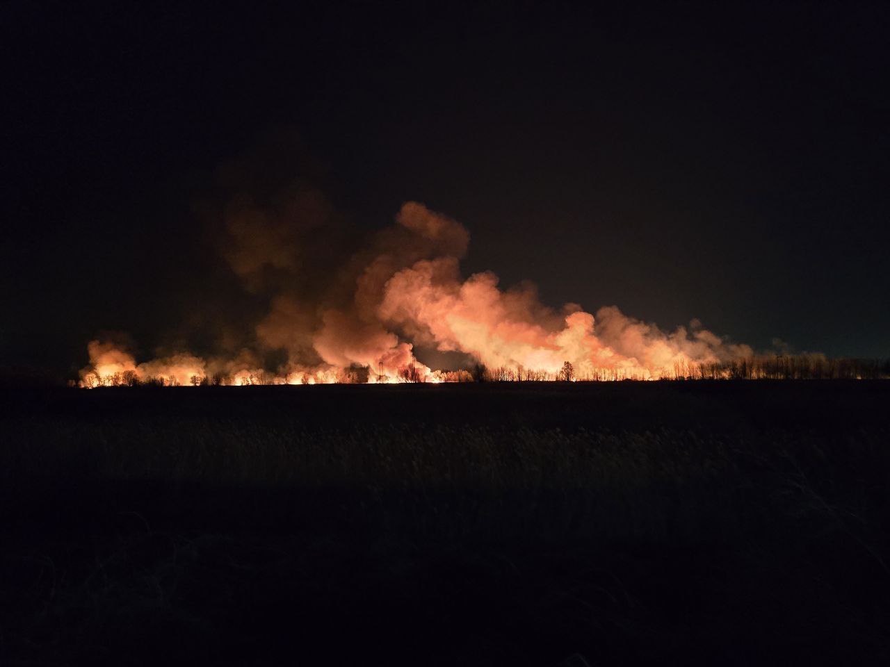 Beočin požar Foto Nova (4).jpg