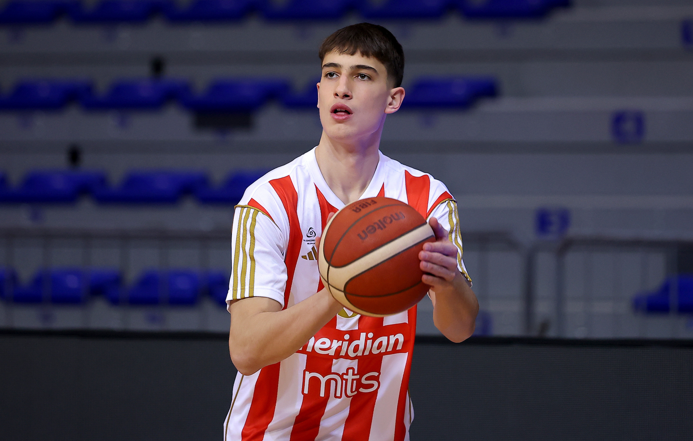 Crvena Zvezda's Aleksej Nedeljkovic