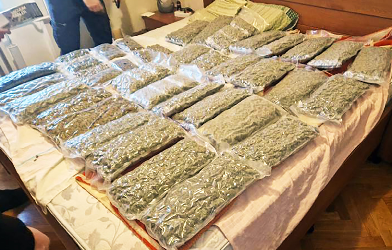 Subotica, ilegalna laboratoija, marihuna, hapšenje, trava, droga