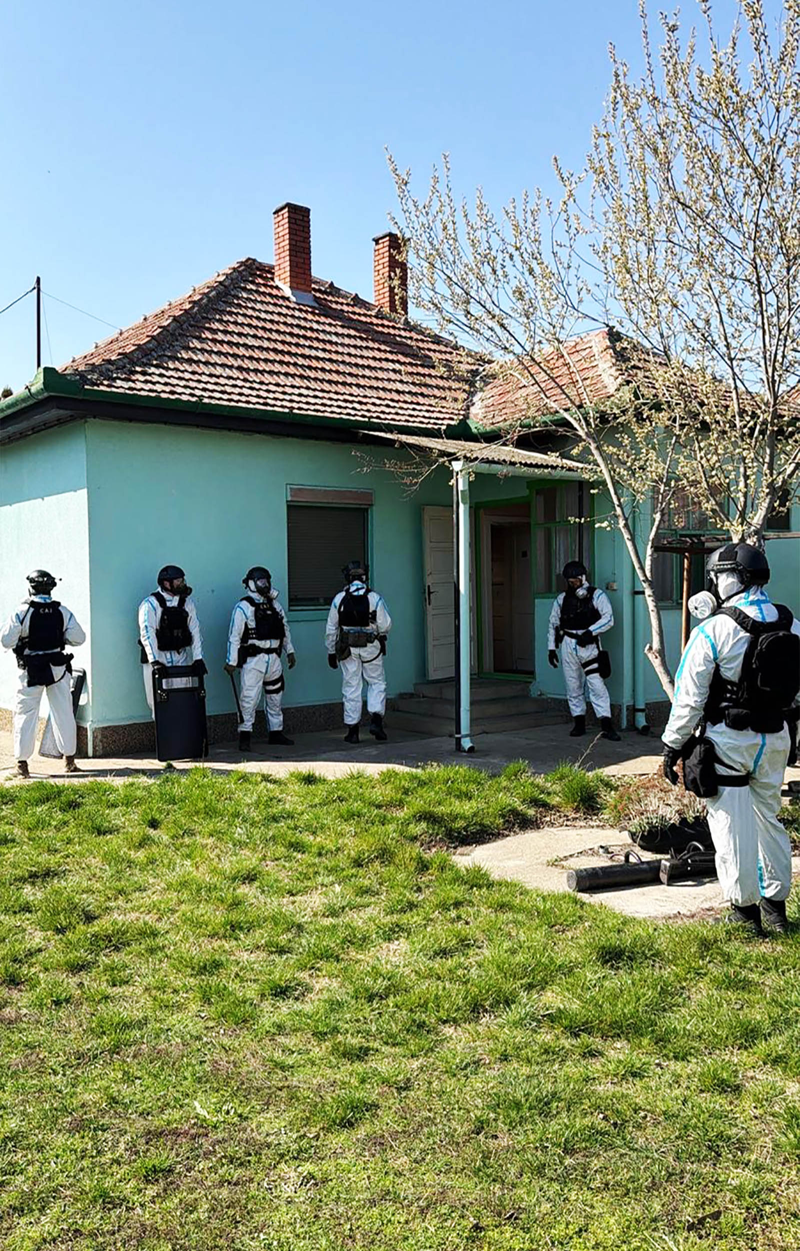 Subotica, ilegalna laboratoija, marihuna, hapšenje, trava, droga