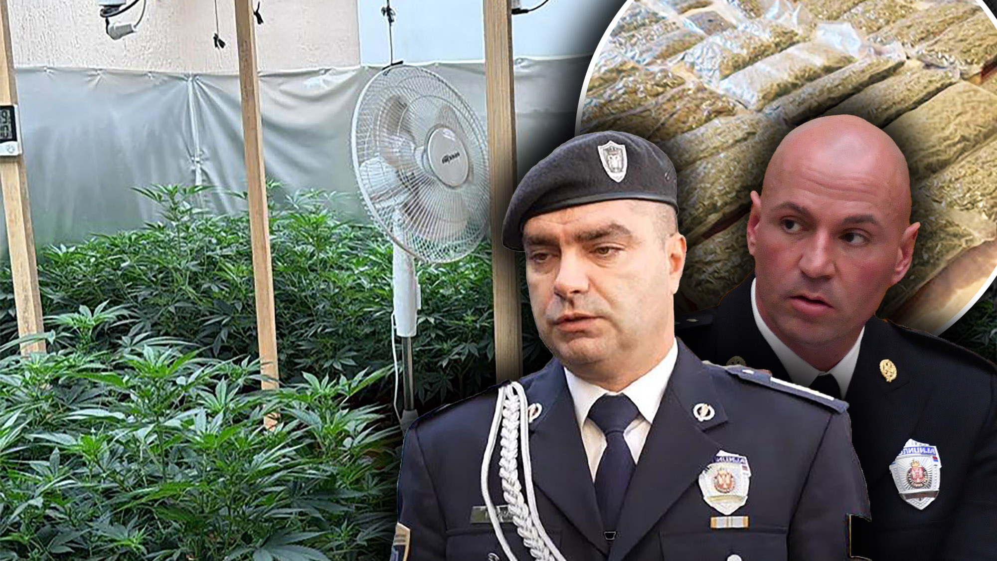 subotica marihuana kričak žmirić kombo (1).jpg