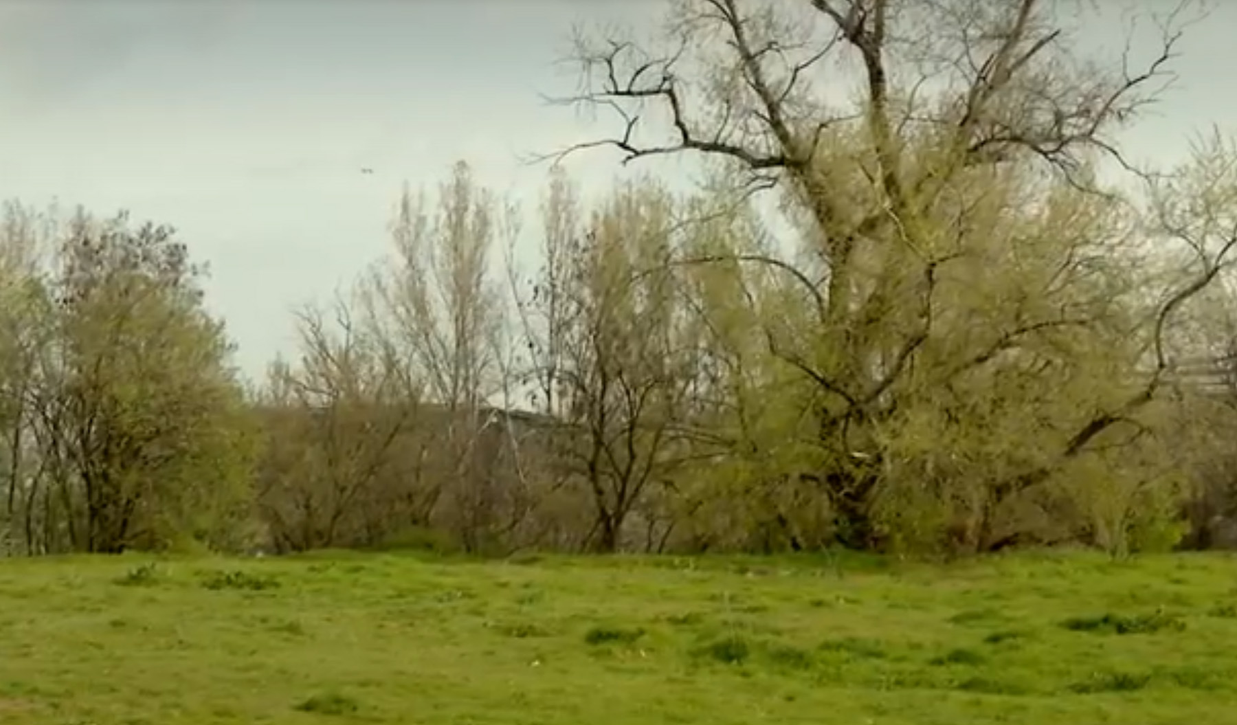 mup01.jpg novi MUP-a u parku pored FDU