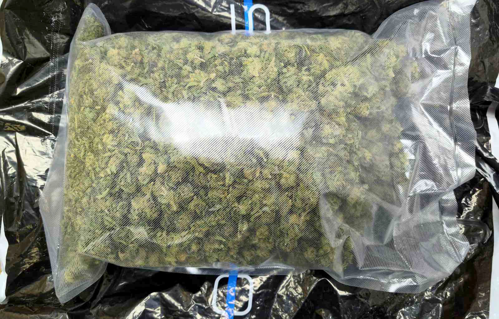 Saopštenje marihuana, droga