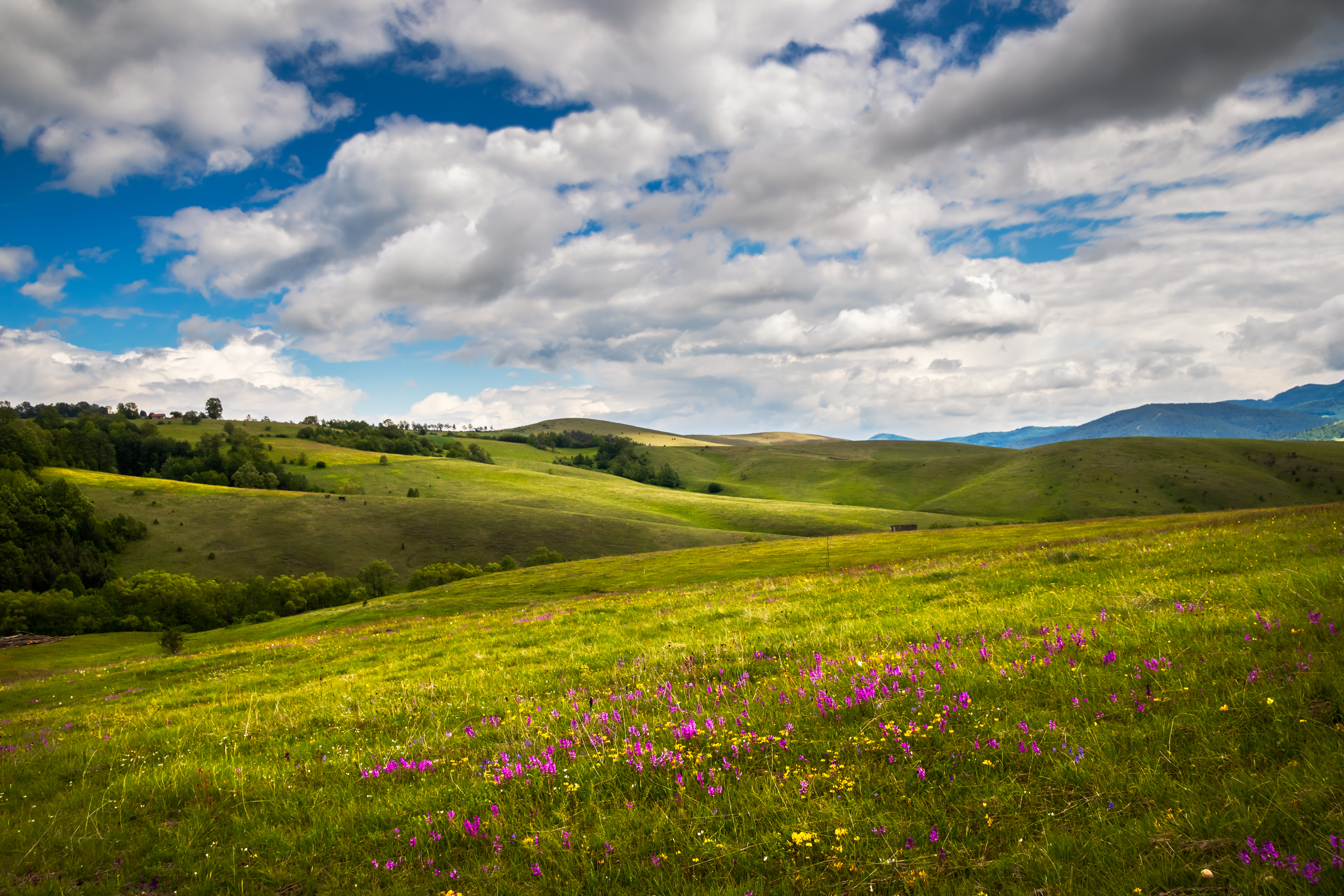 Zlatibor shutterstock_1766193101.jpg