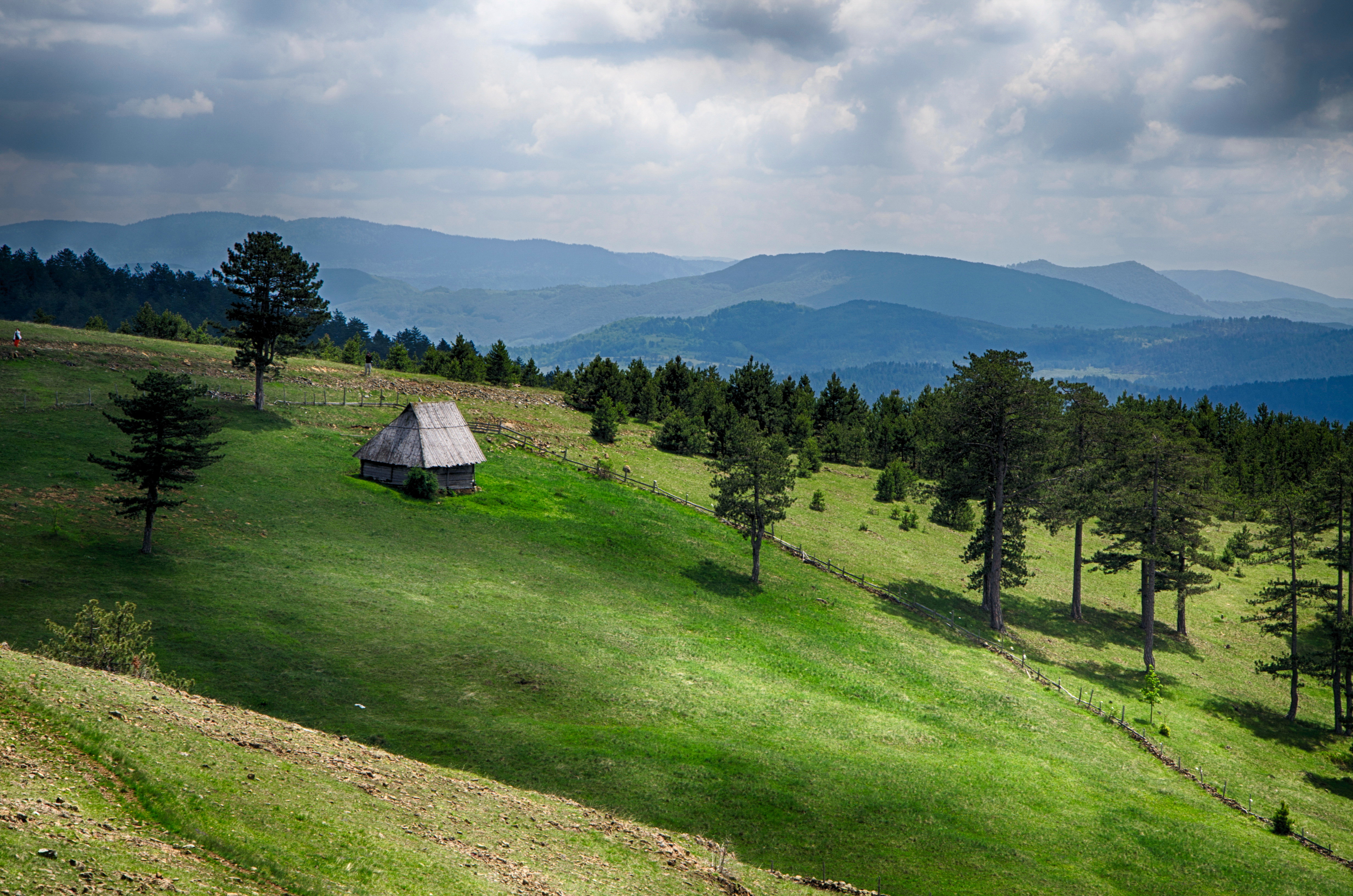Zlatibor shutterstock_1216820353.jpg