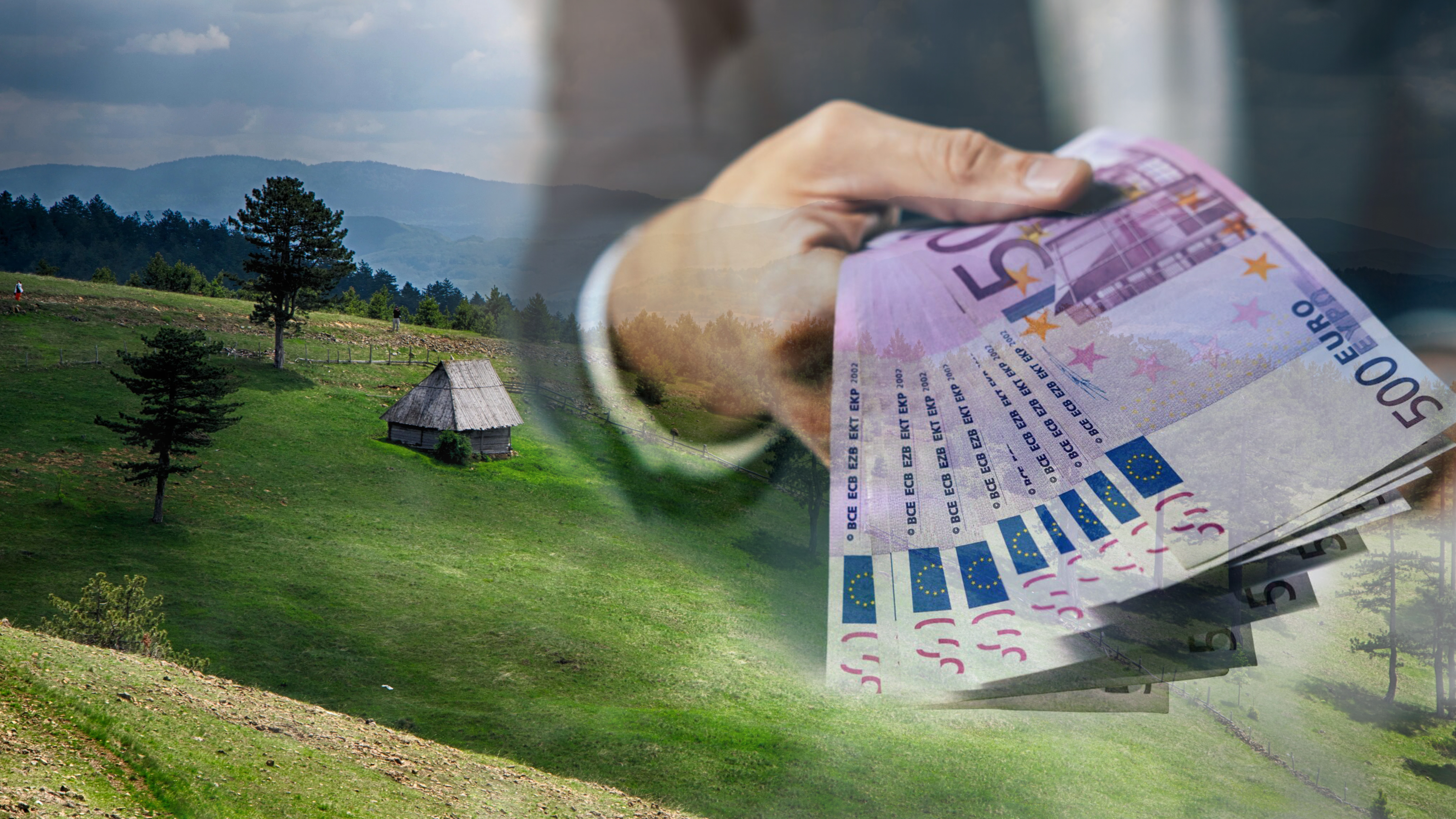 zlatibor livada pare kombo.jpg