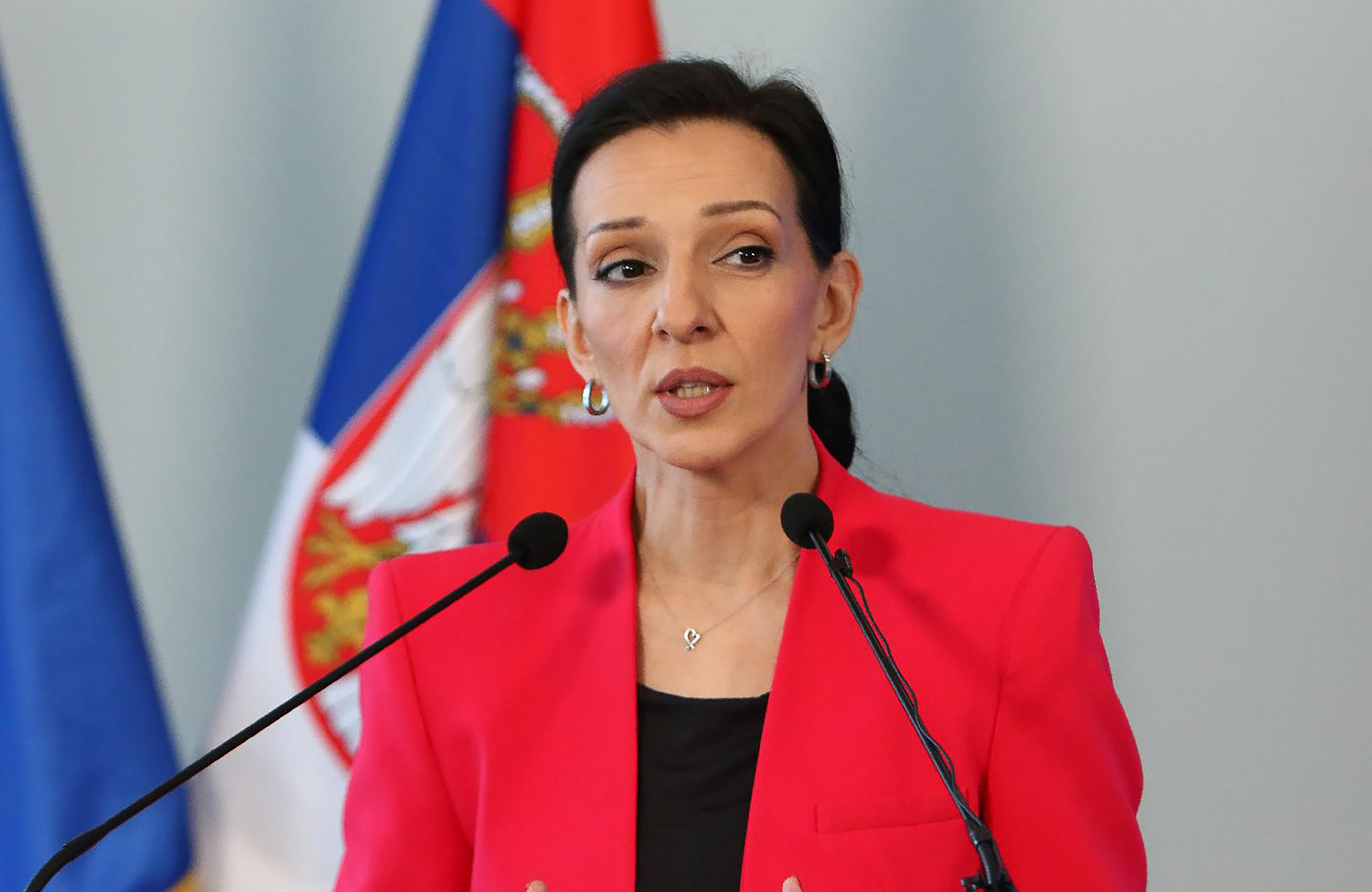 Mesto: BeogradDatum: Wed Mar 18 14:30:36 CET 2026Dogadjaj: POLITIKA - Konferencija za novinare Stranke slobode i pravde na temu "Srbija 2030"Fotoreporter: Milica VučkovićLičnosti: Marinika TepićIzvor: FoNet