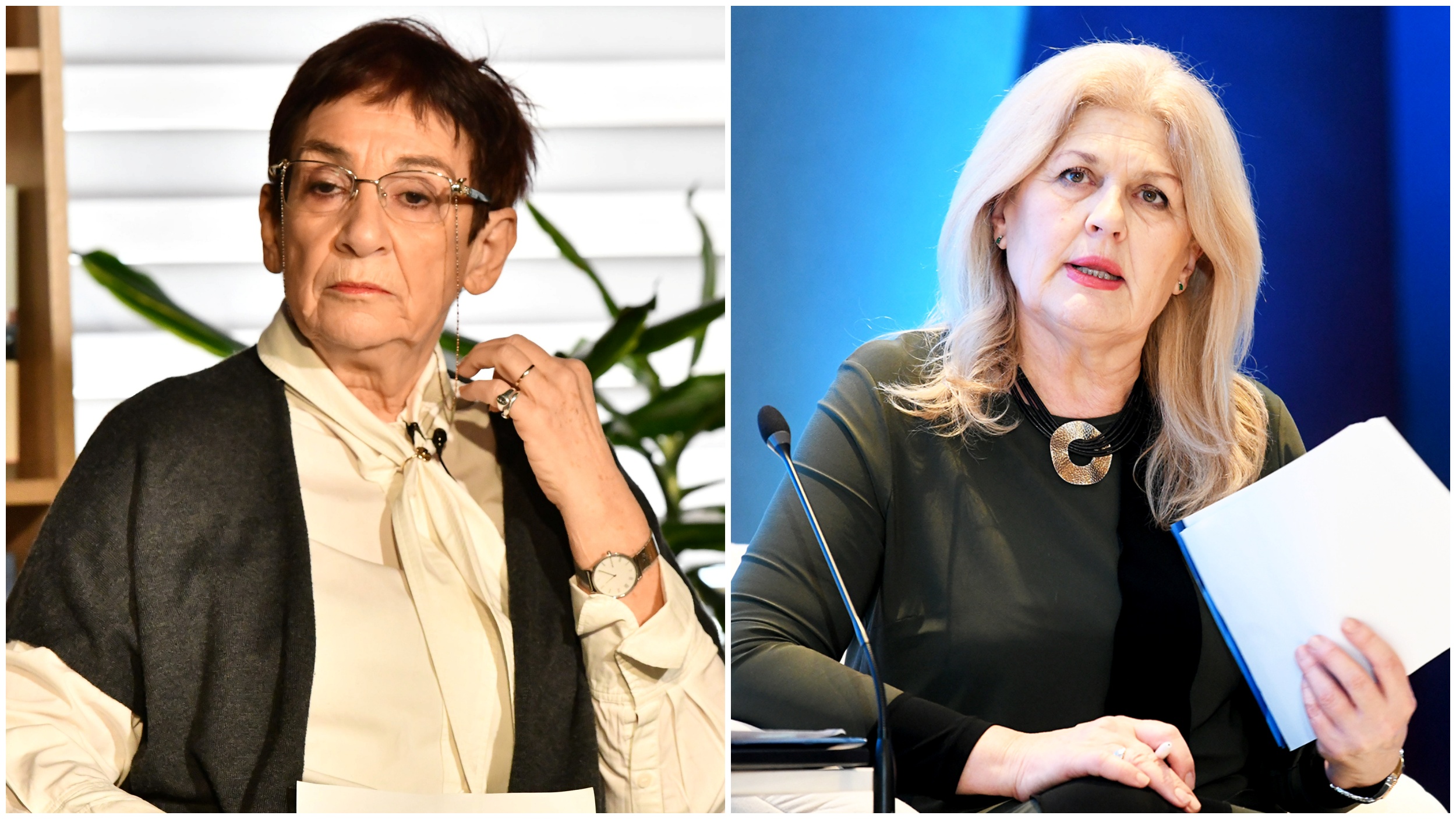 vida petrović škero i radmila dragičević dičić kombo.jpg
