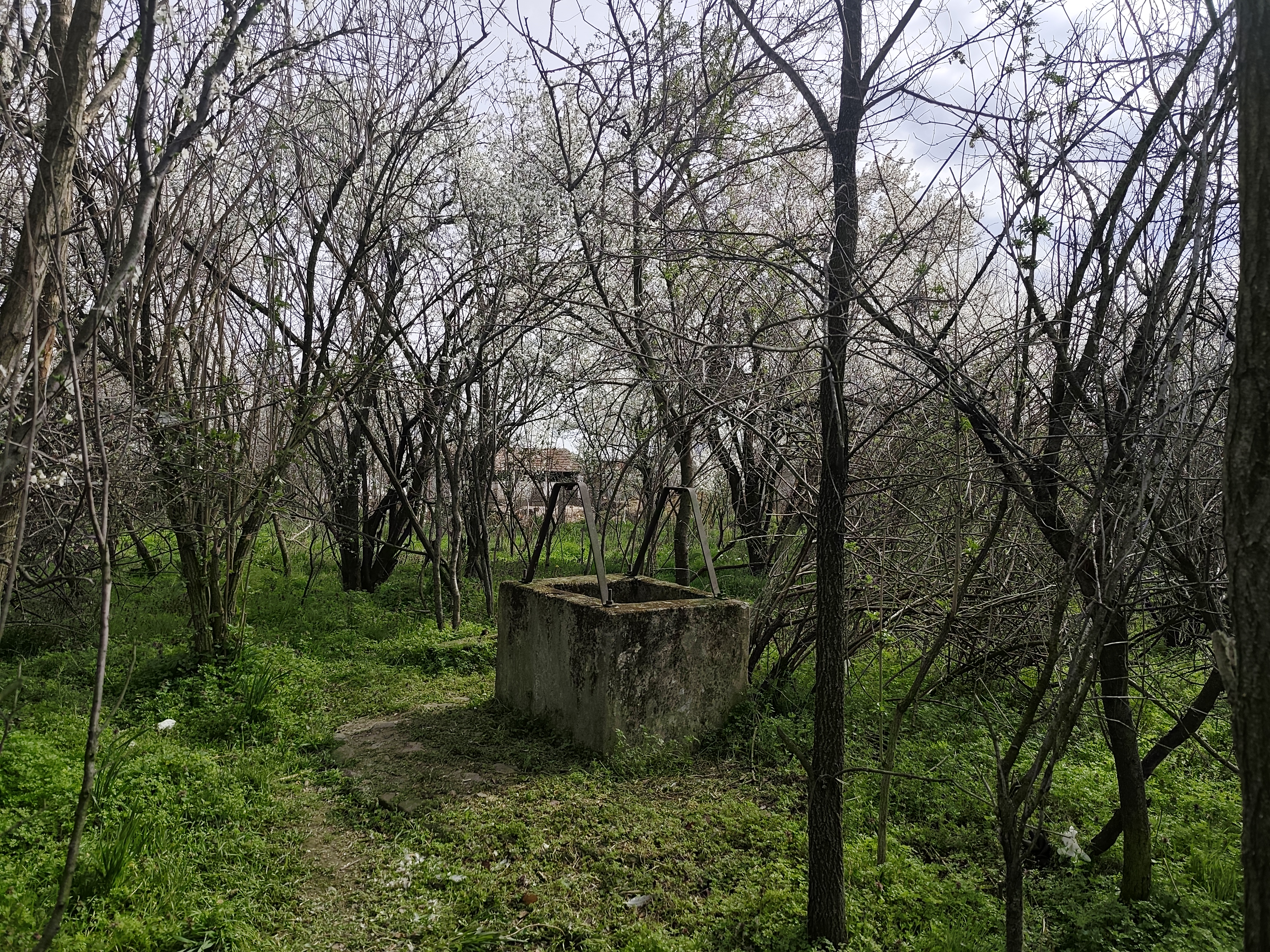 Trovanje pasa, selo Tešica kod Aleksinca,