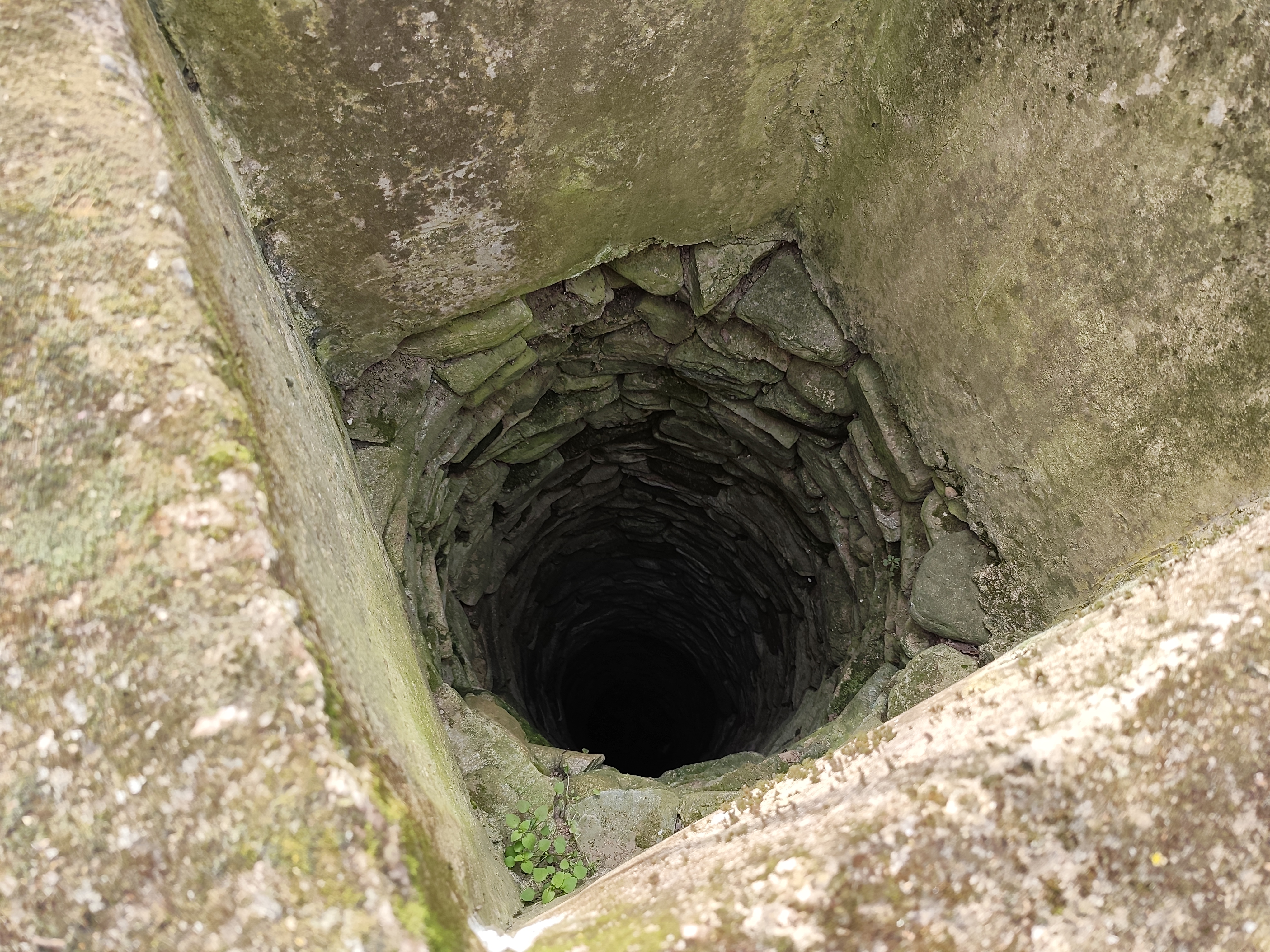 Trovanje pasa, selo Tešica kod Aleksinca,bunar u koji su baceni psi