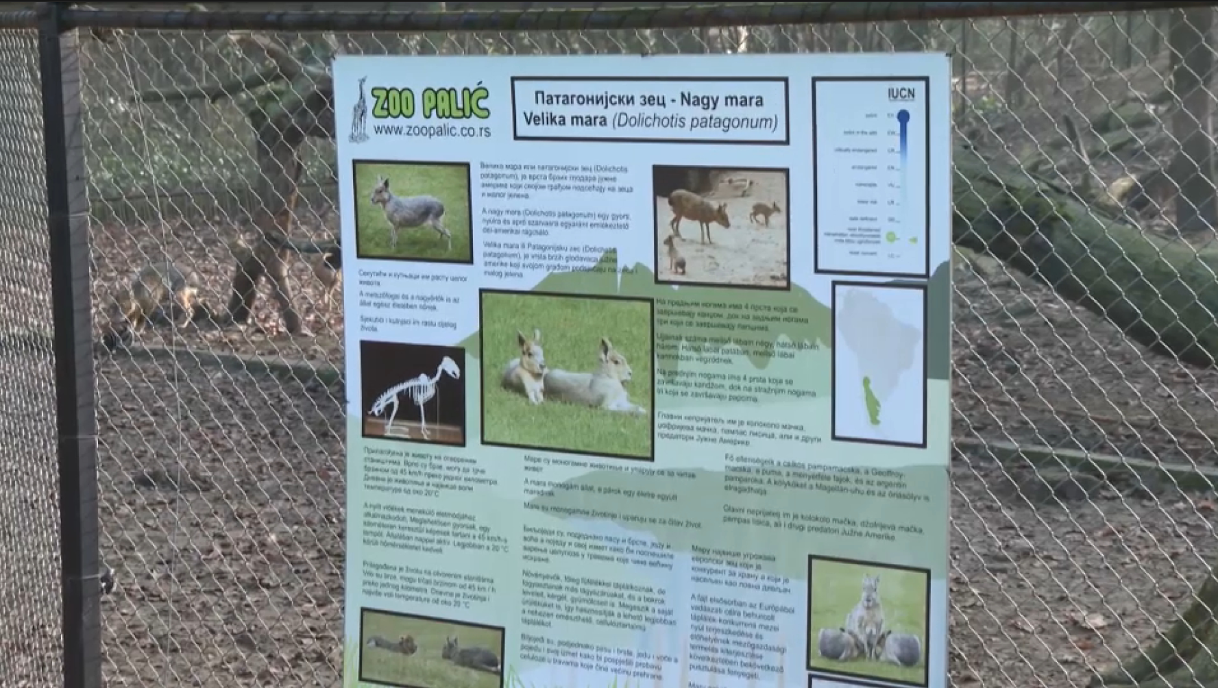 Zoo vrt "Palić", Radnici Zoo vrta "Palić" dobili otkaze jer su govorili o kršenju veterinarske etike