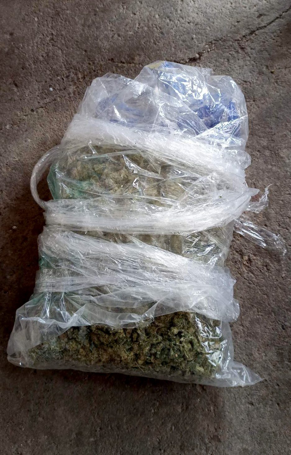 ćuprija marihuana droga foto mup srbije (1).jpg