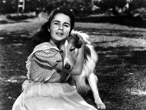 Foto: Courtesy Everett Collection / Everett / Profimedia
