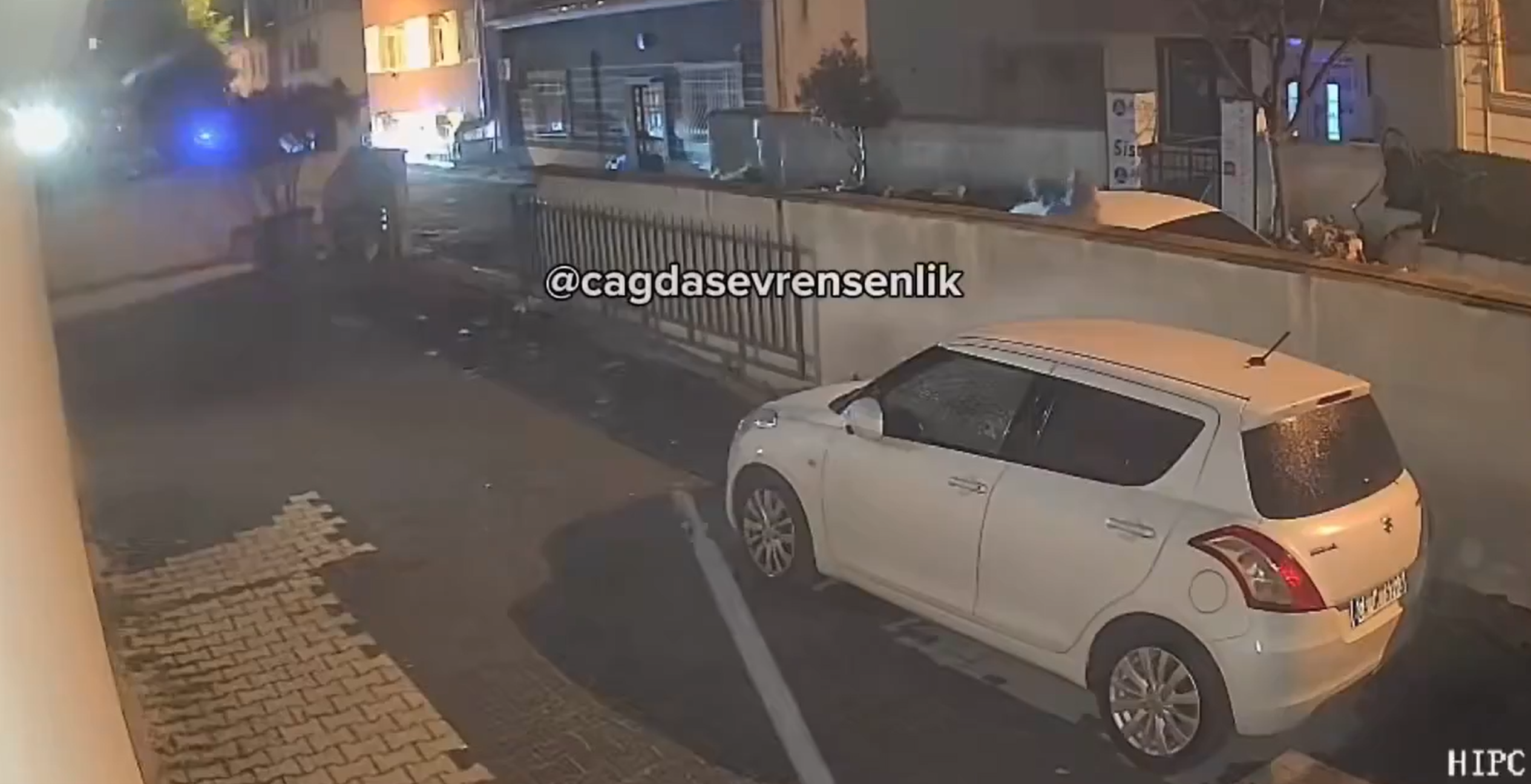 Screenshot 2026-03-25 151135