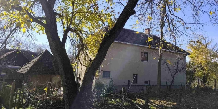 Apelacioni sud preinačio presudu Gregoru Nemetu za ubistvo oca