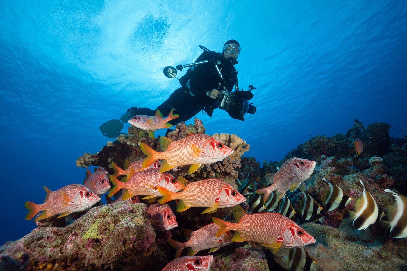 Image: 502938840, License: Rights-managed, Restrictions: , Model Release: no, Credit line: Reinhard Dirscherl / Alamy / Profimedia