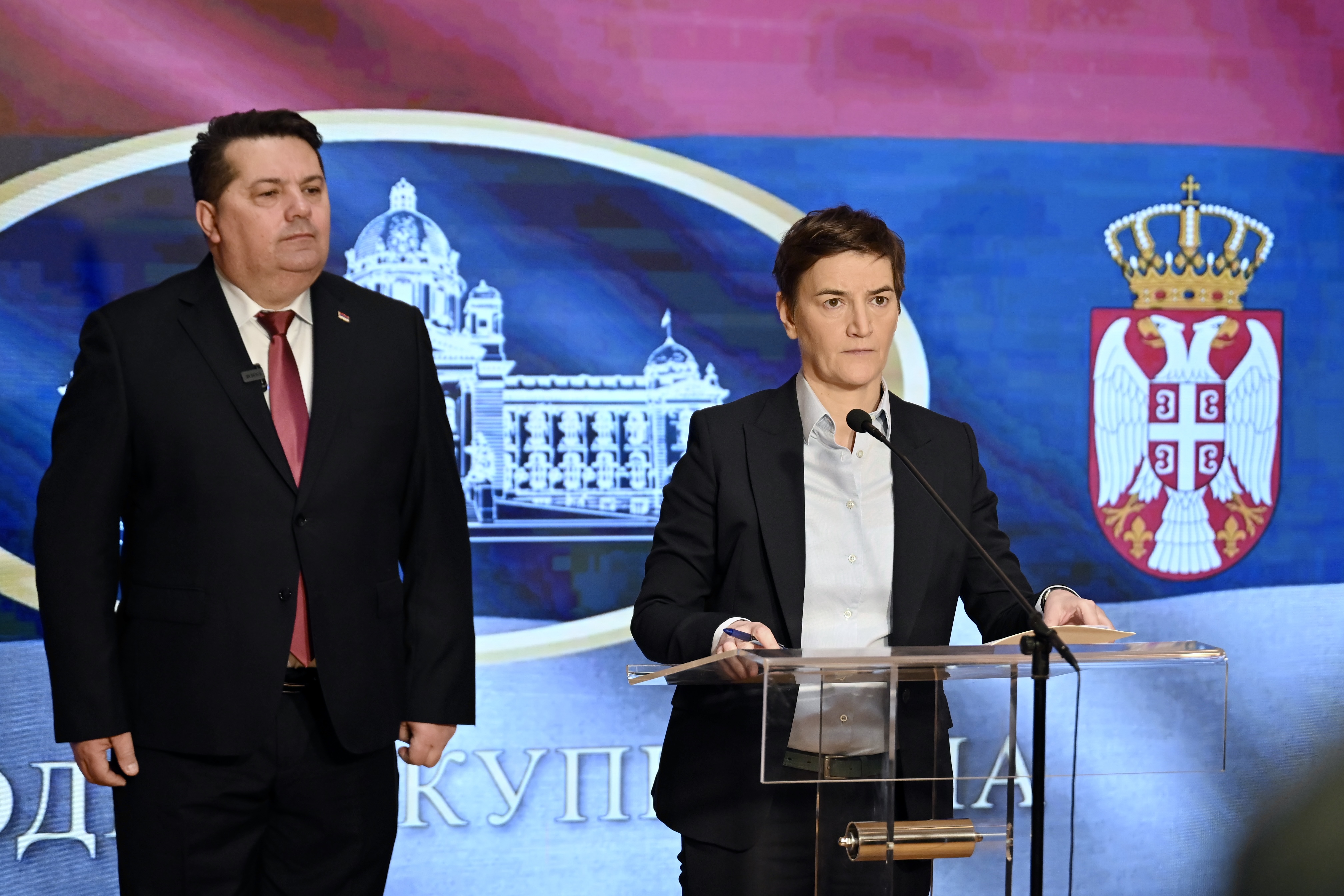 Ana Brnabić, Nenad Stevandić