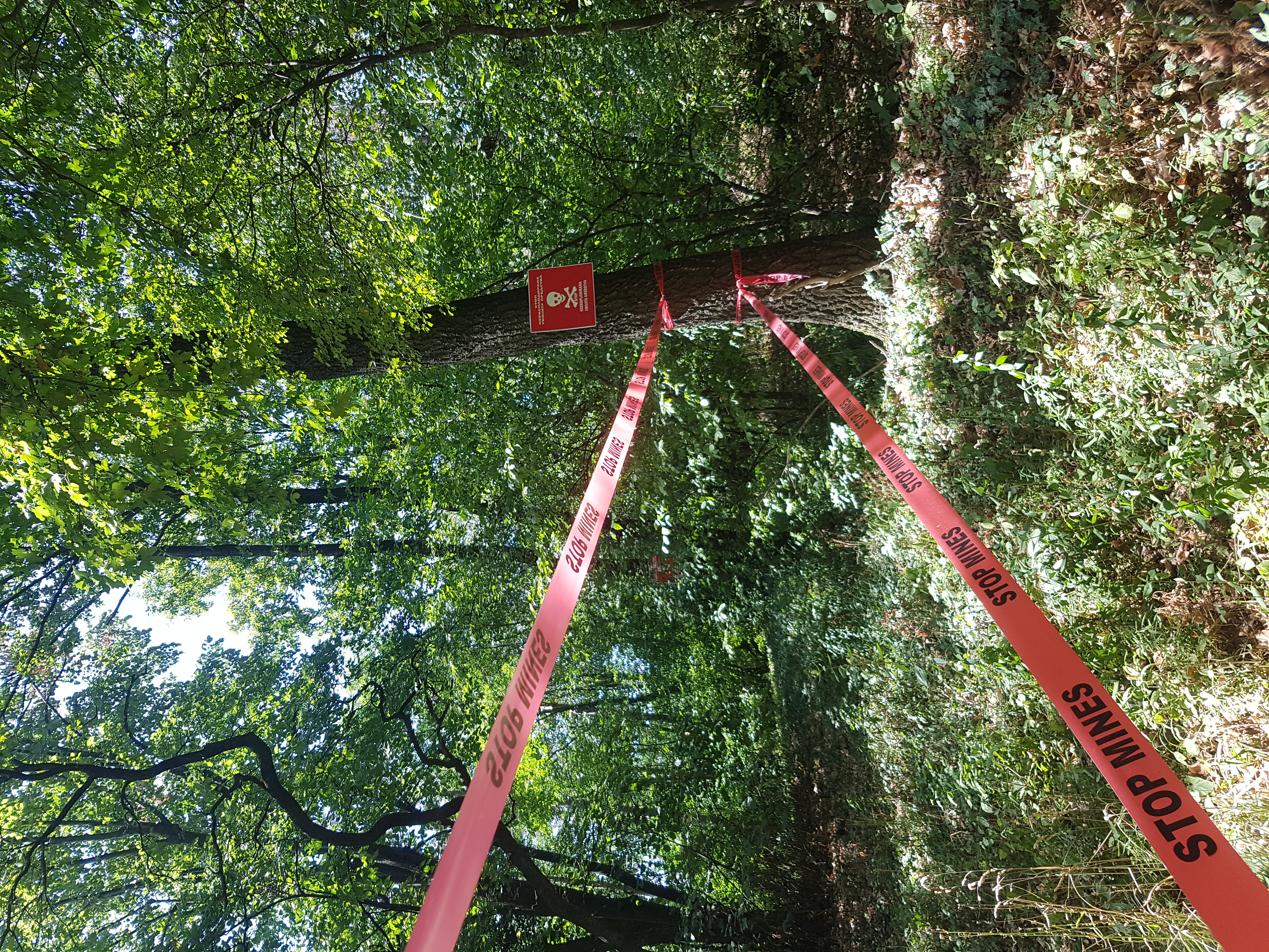 minska polja oko hotela lezimir.jpg minska polja iznad hotela ležimir na fruškoj gori
