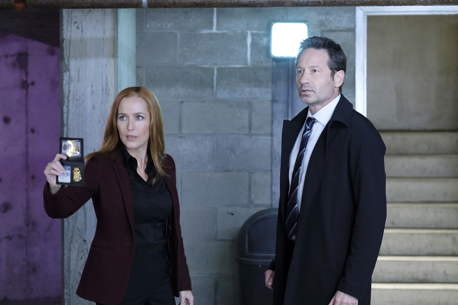 USA. David Duchovny and Gillian int