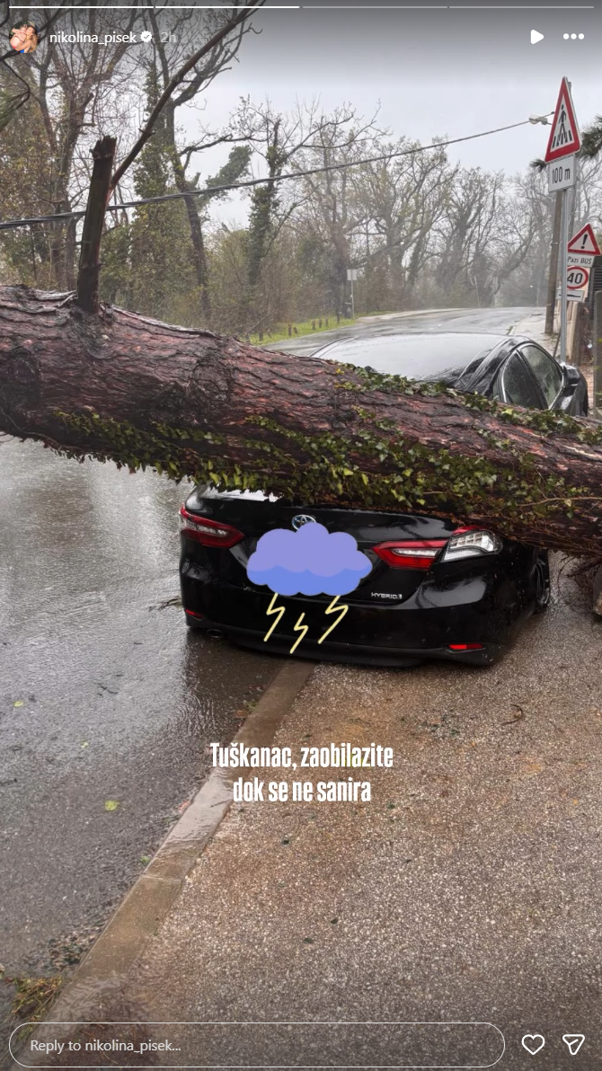 Printskrin Instagram/nikolina_pisek