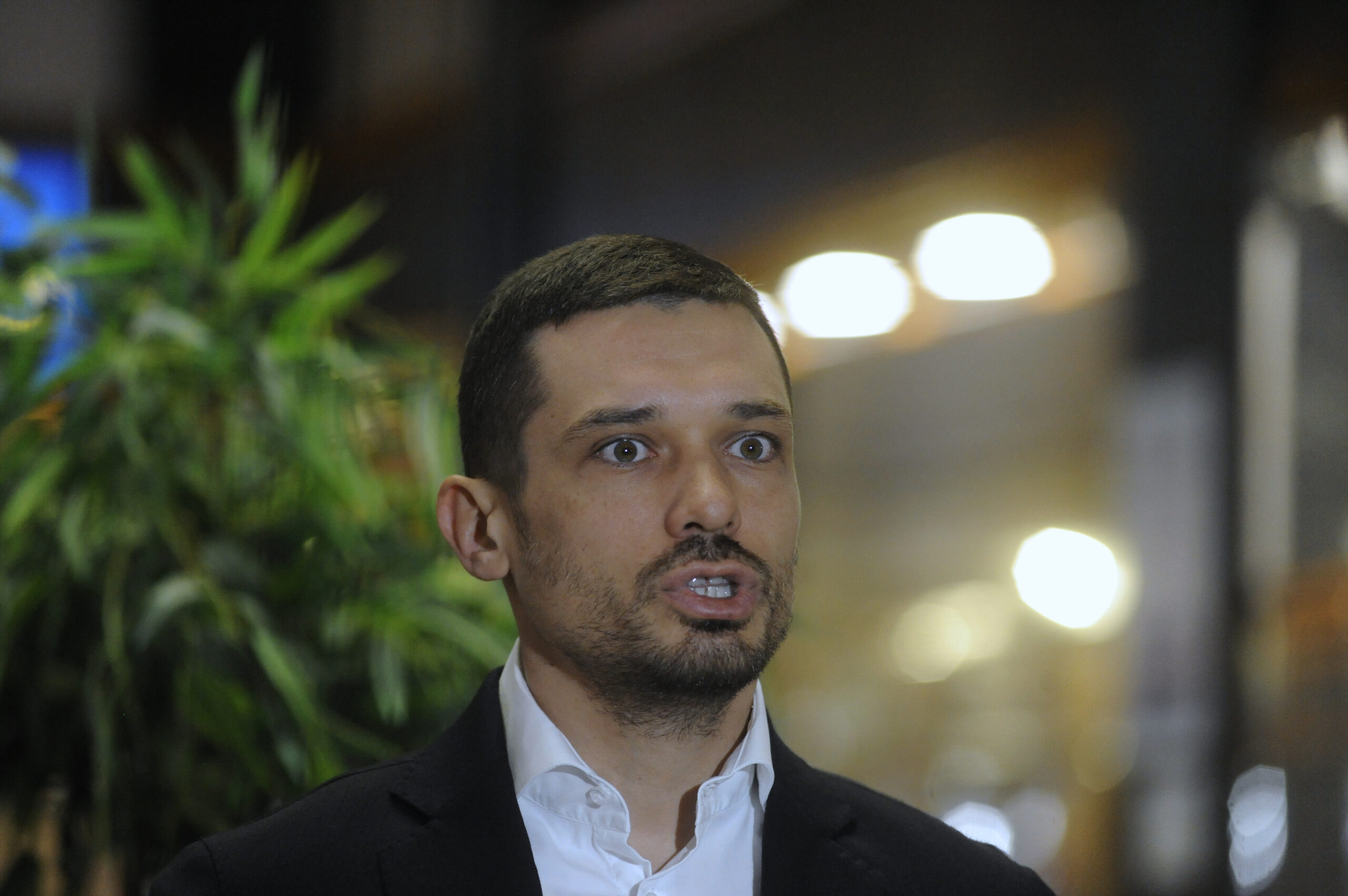 Relja Ognjenović