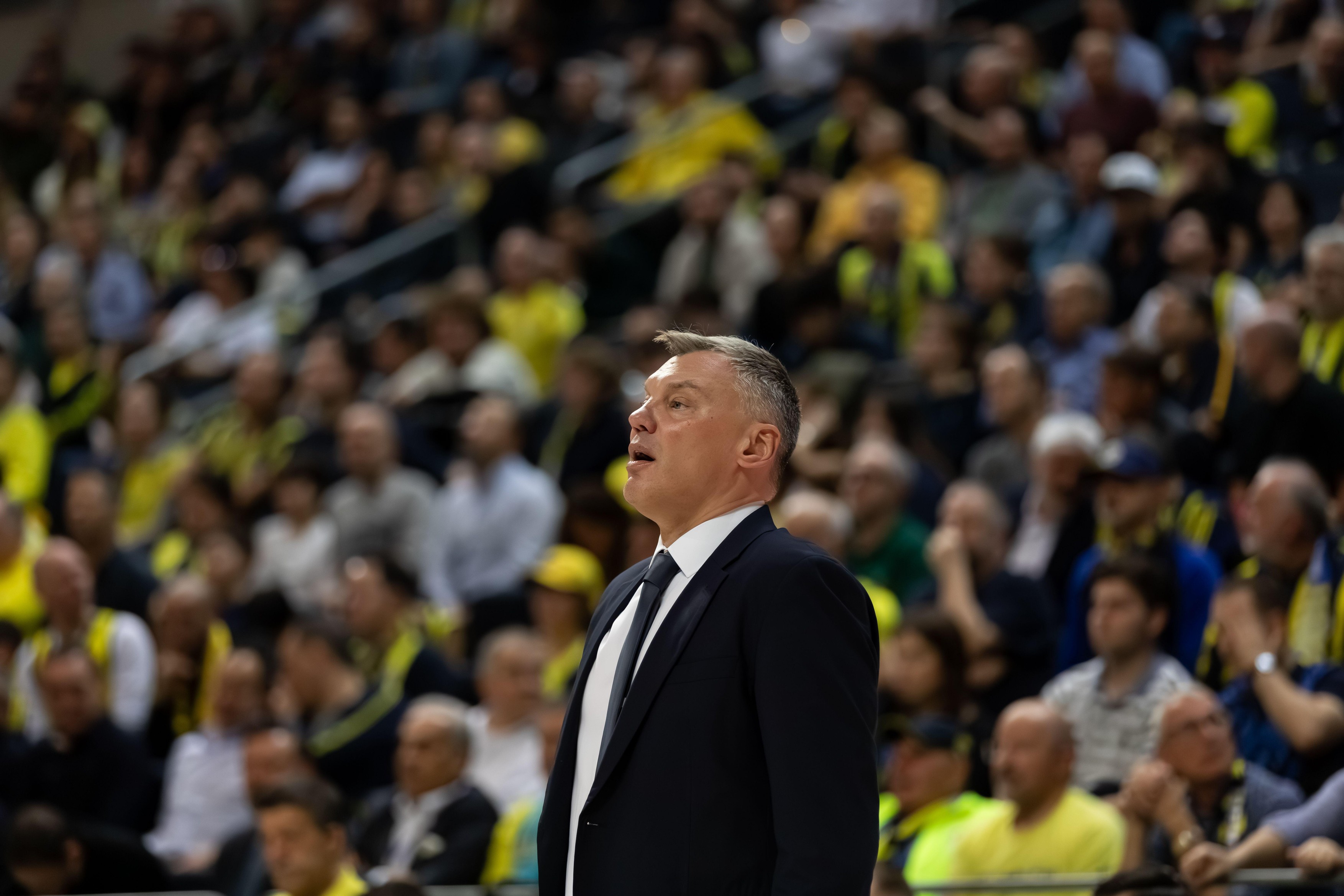 Fenerbahce, Sarunas Jasikevicius