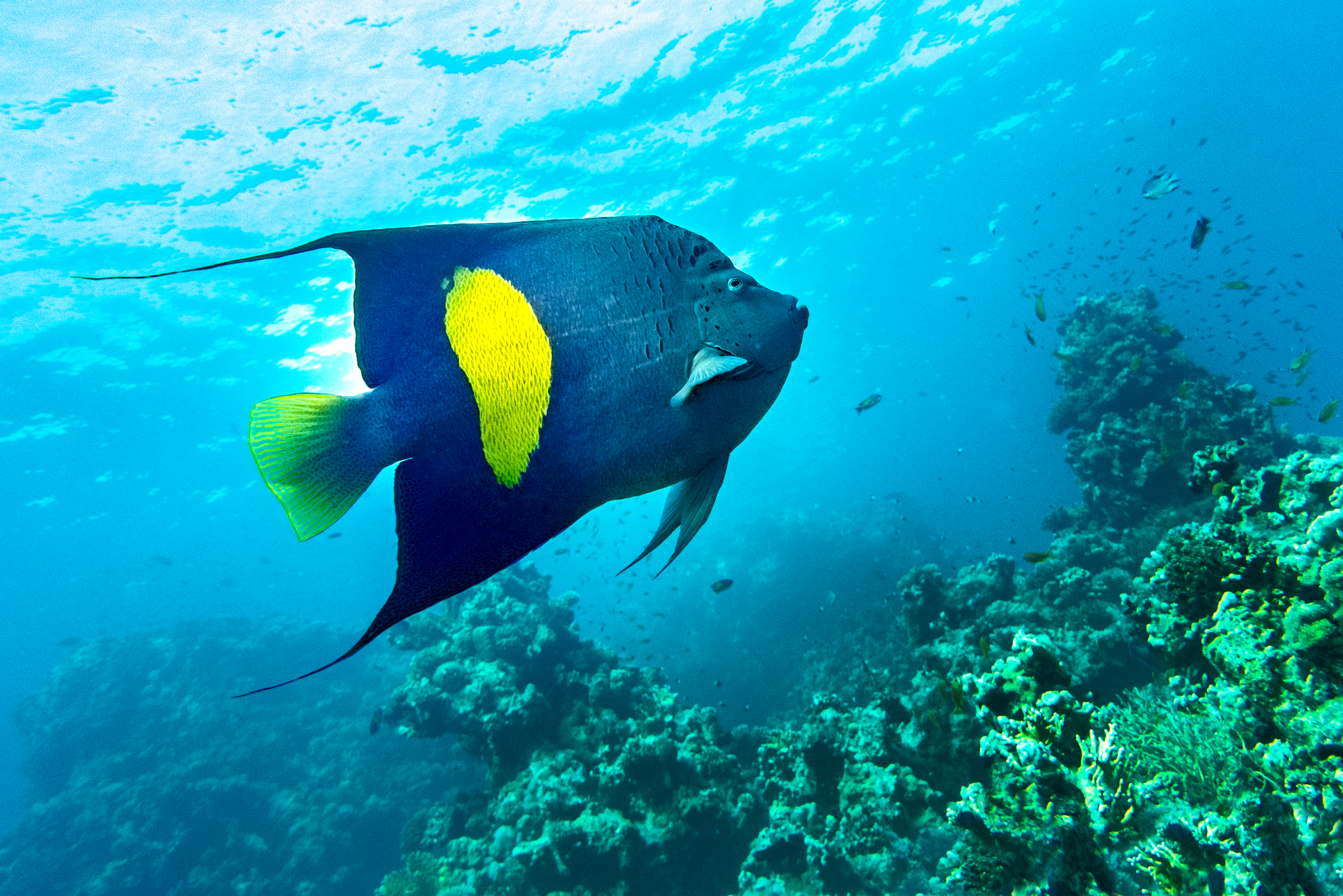shutterstock_1620810214.jpg