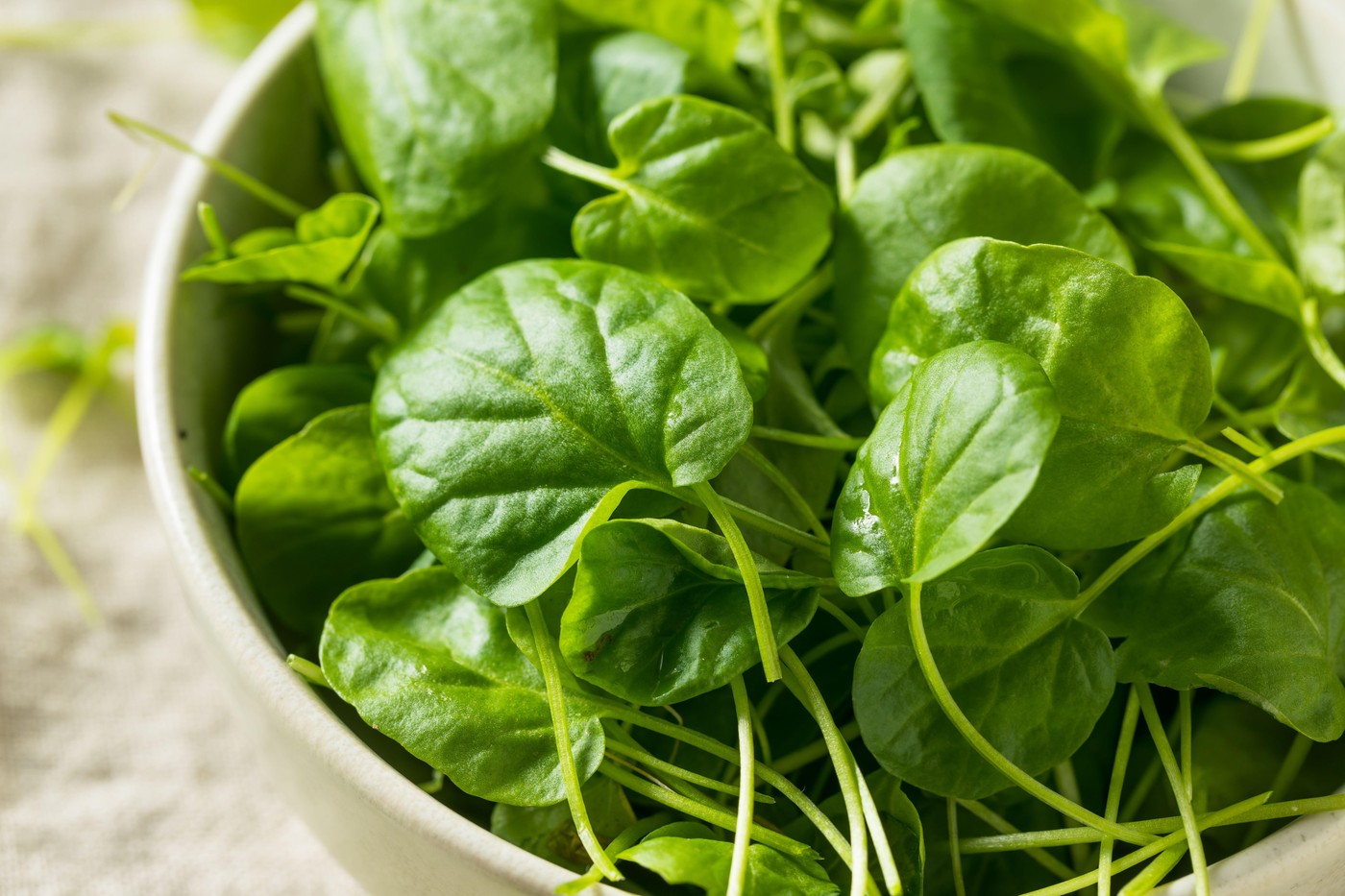 Kome se ne preporučuje potočarka?