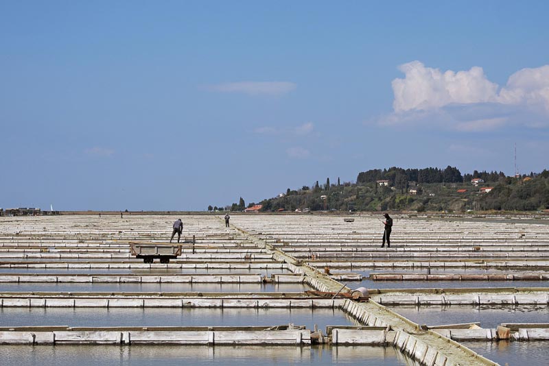 foto Nikola Zoko (85)