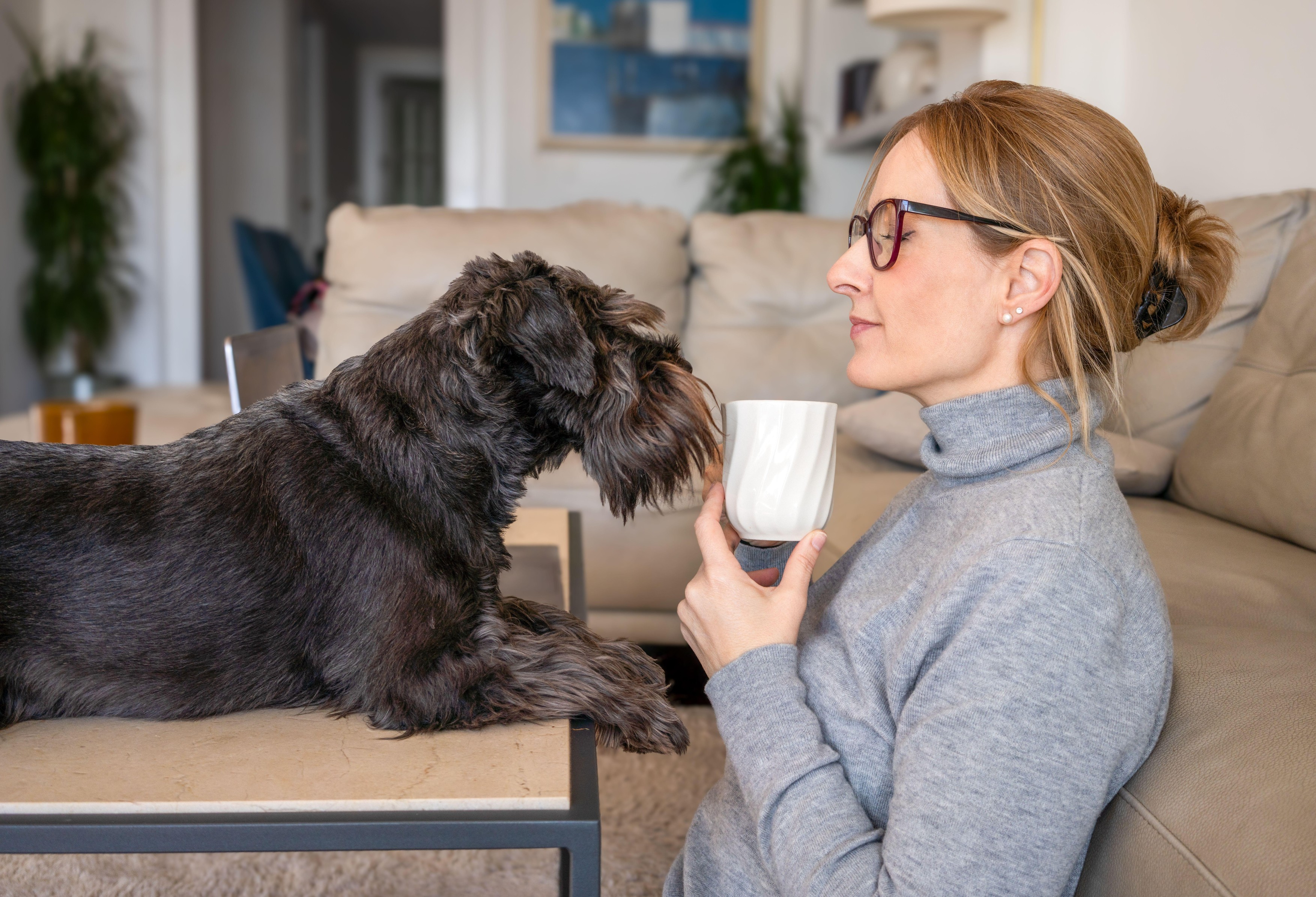 Image: 1070229619, License: Royalty-free, Restrictions: