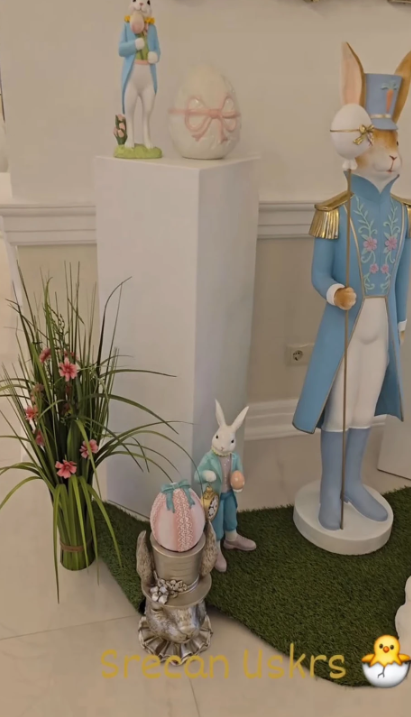 Printskrin Instagram/dragana_mirkovic