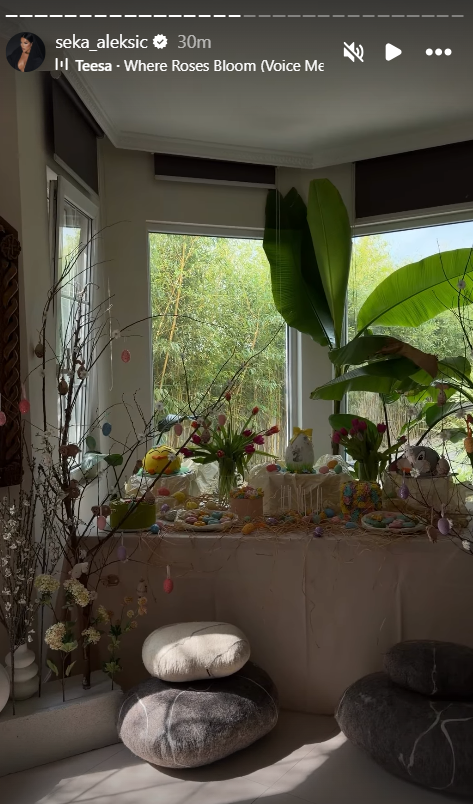 Printskrin Instagram/seka_aleksic