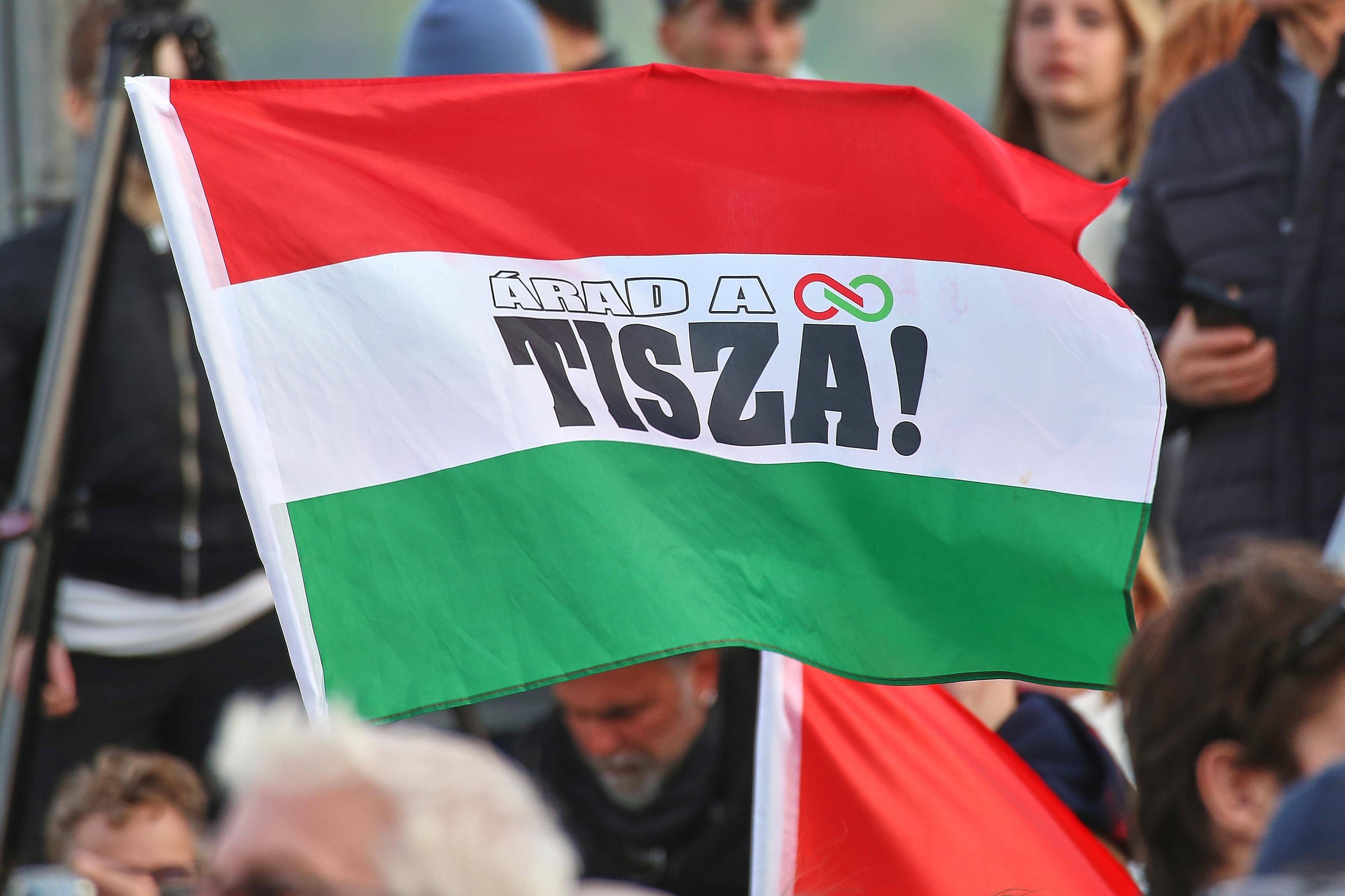 Parlamentarni izbori u Mađarskoj profimedia-1090468920.jpg