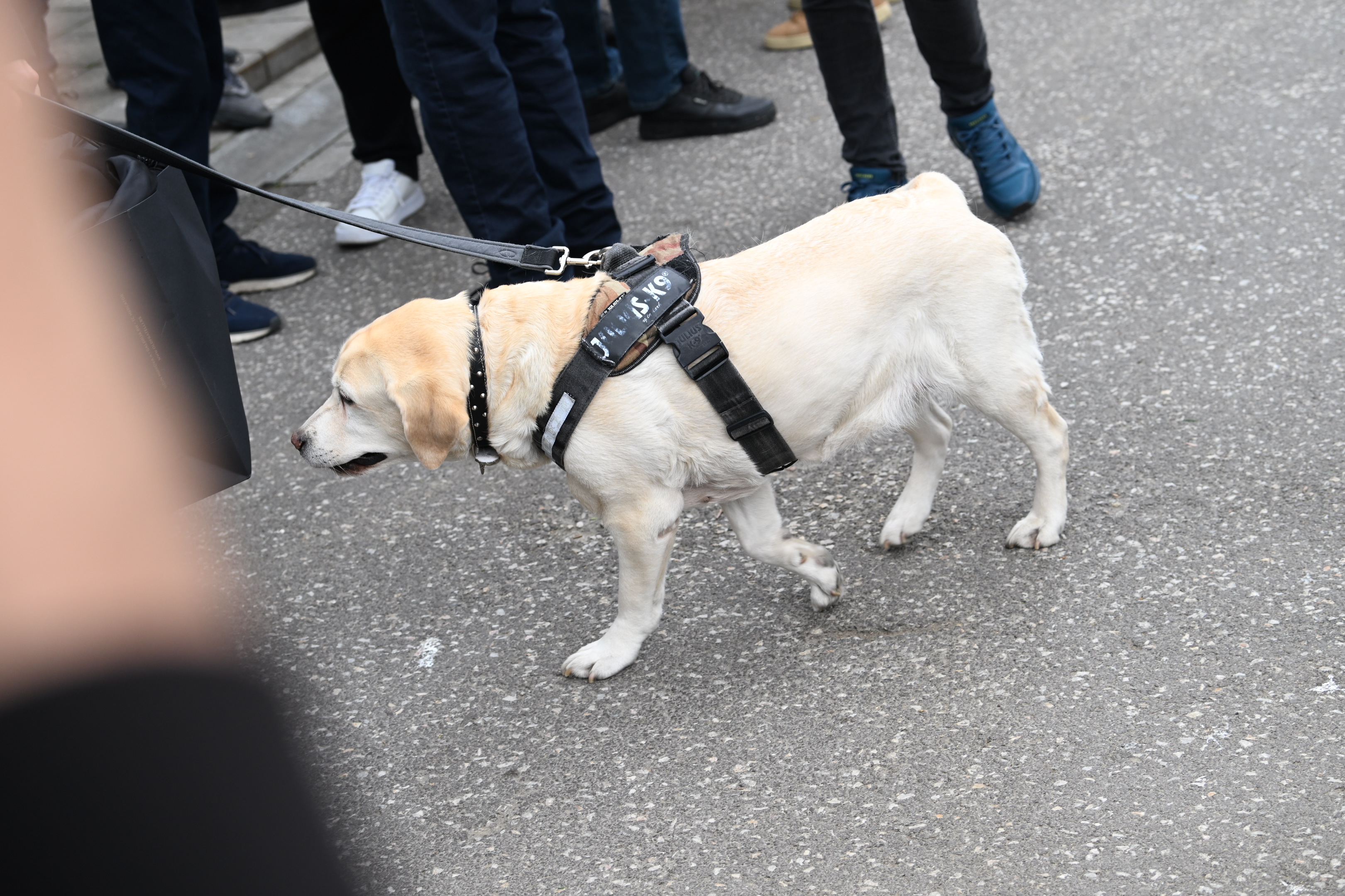 Beograd, 14.4.2026. Novo groblje, opelo i sahrana, Dule Vujošević, Duško Vujošević