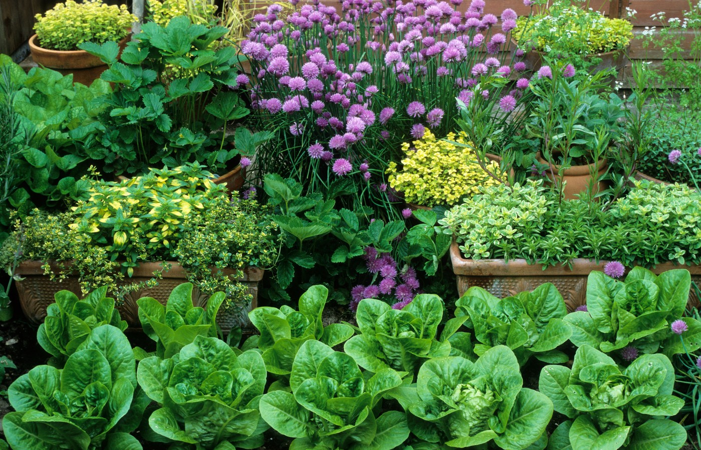 profimedia-0005599343