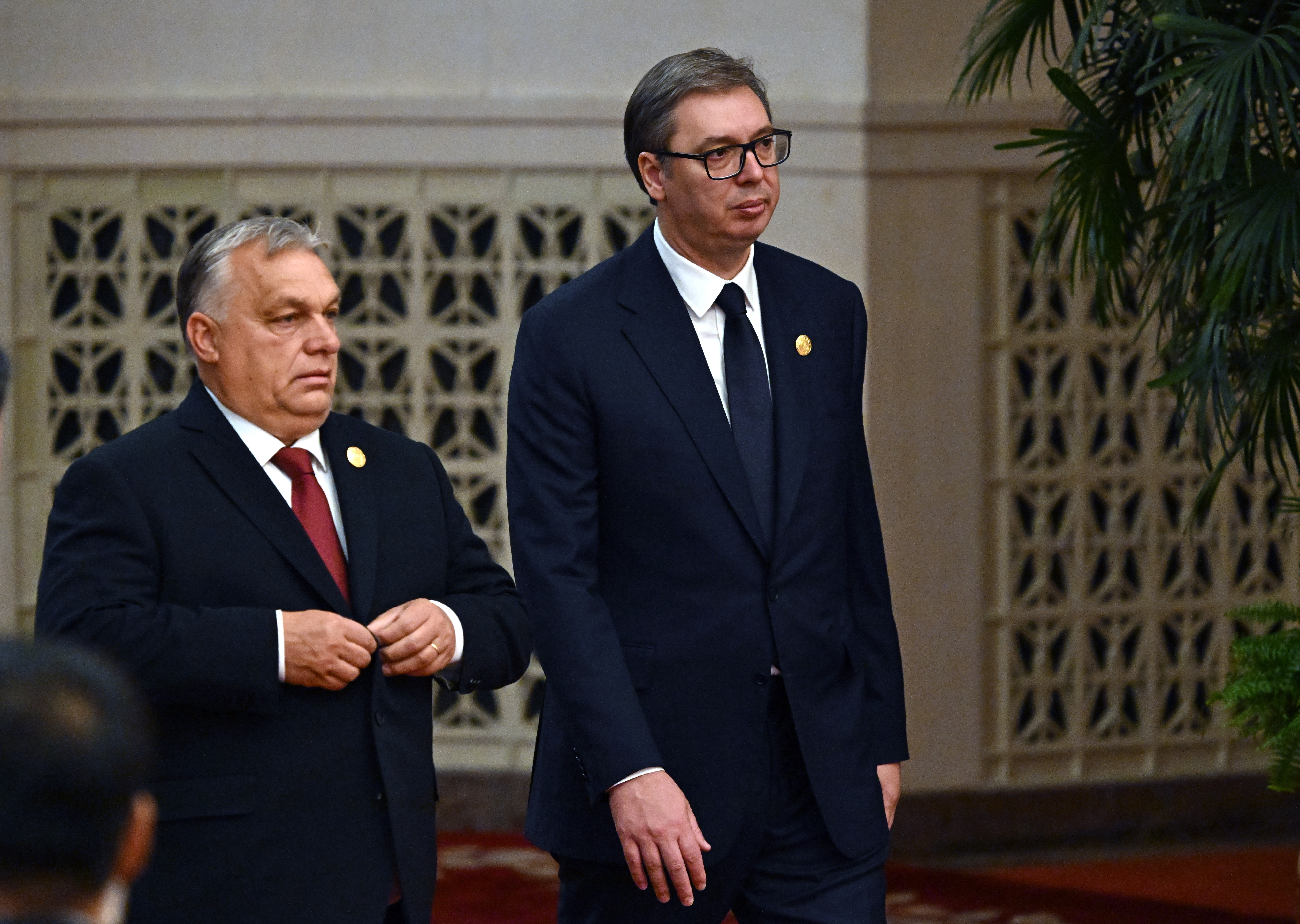 Viktor Orban i Aleksandar Vučić 11784053.jpg