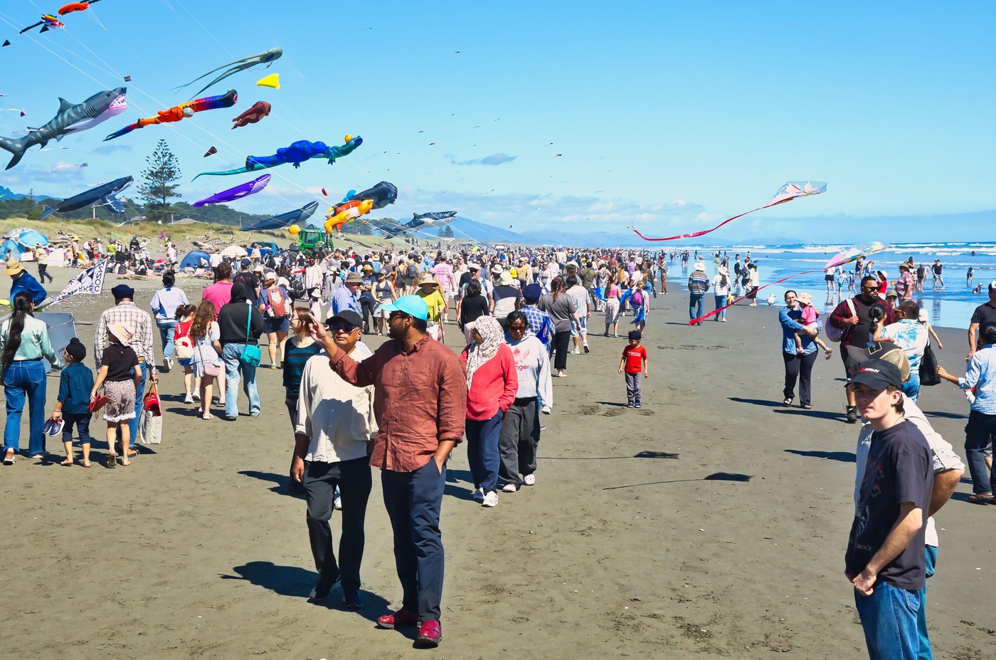 profimedia-1084341331