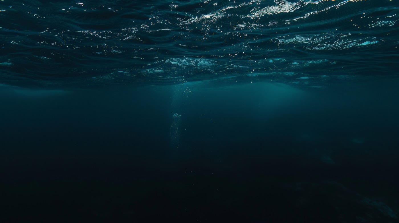 Zašto more postaje sve tamnije?