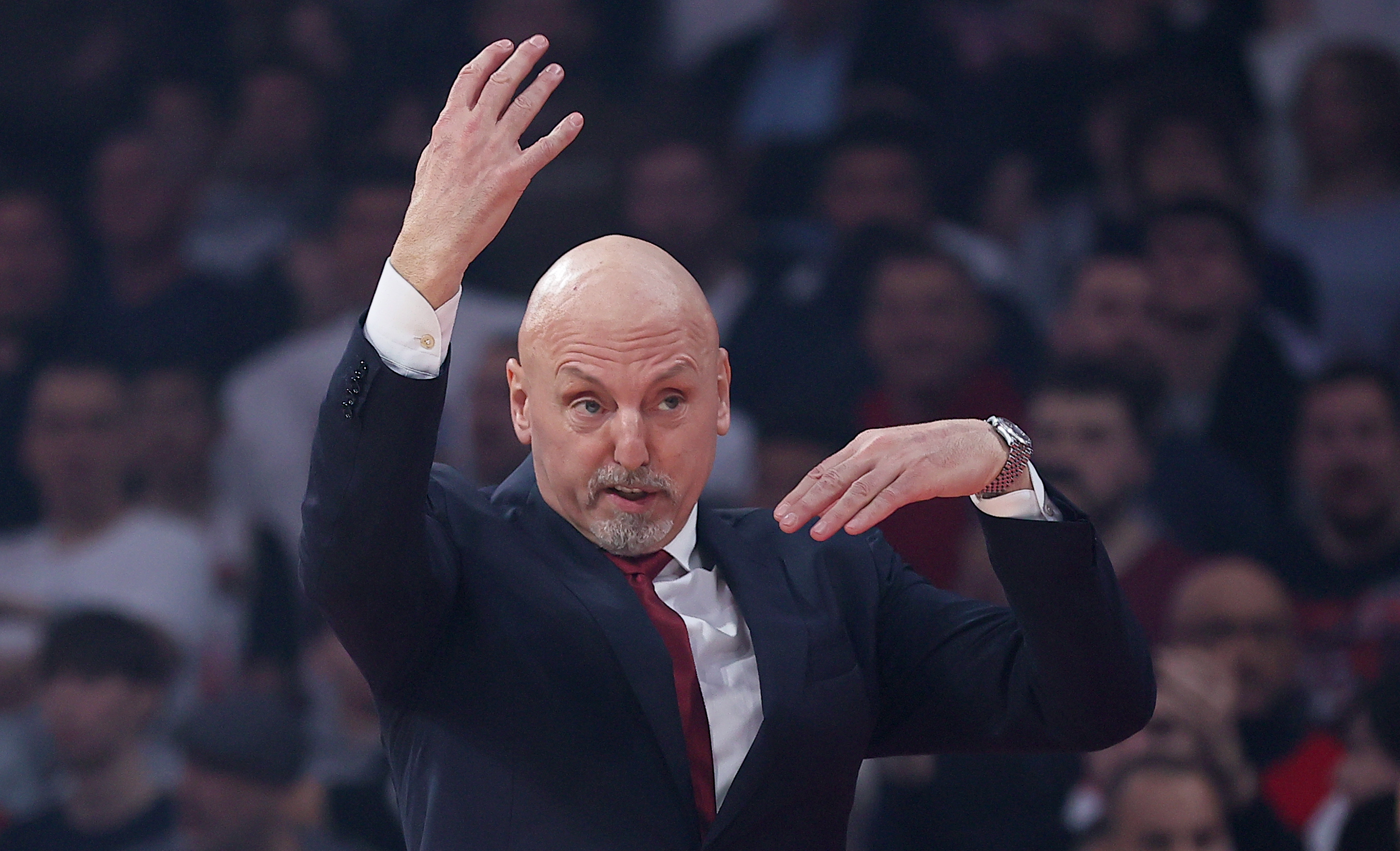 Saša Obradović