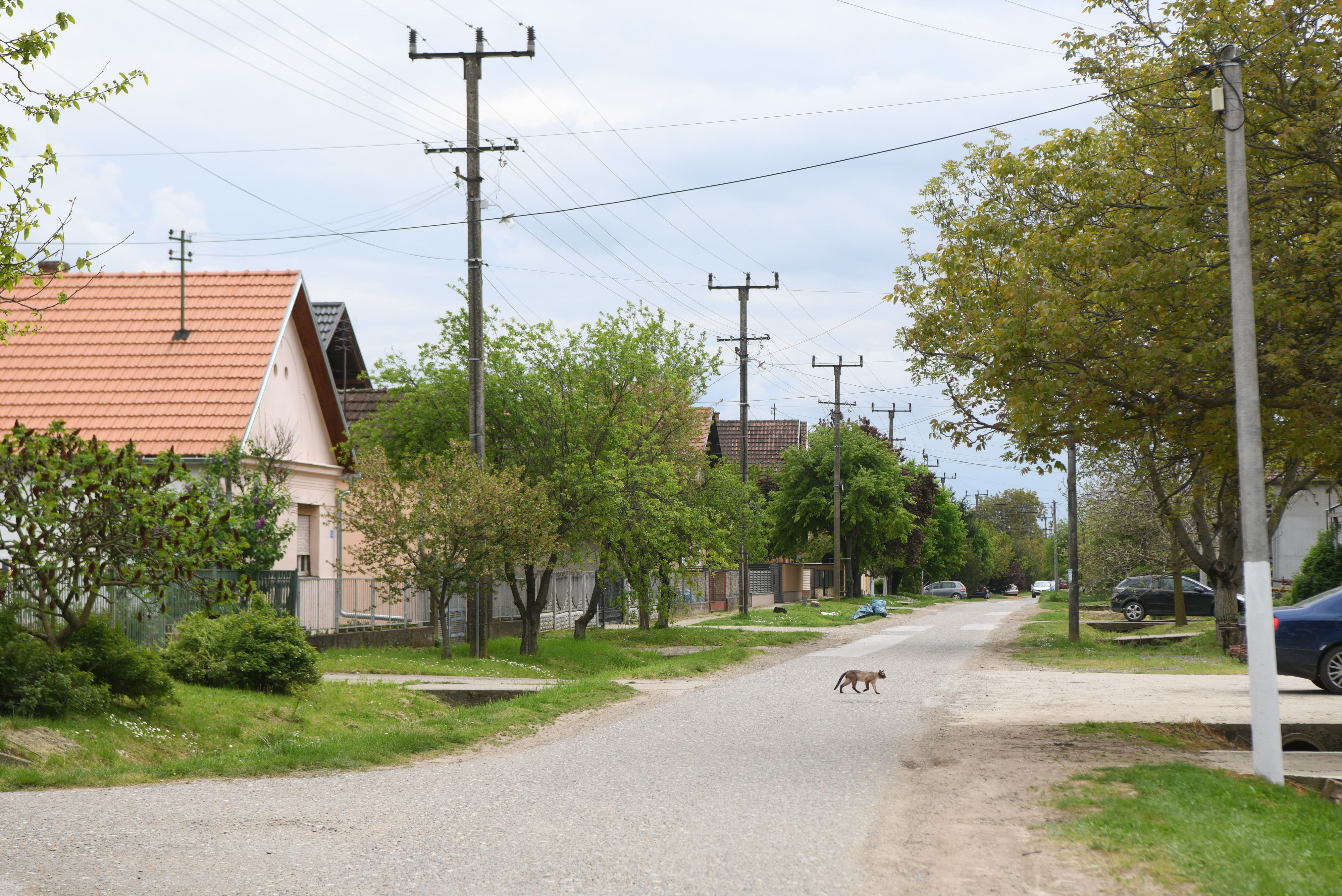 Hrtkovci ubistvo 210426 Foto Filip Kraincanic (1).jpg