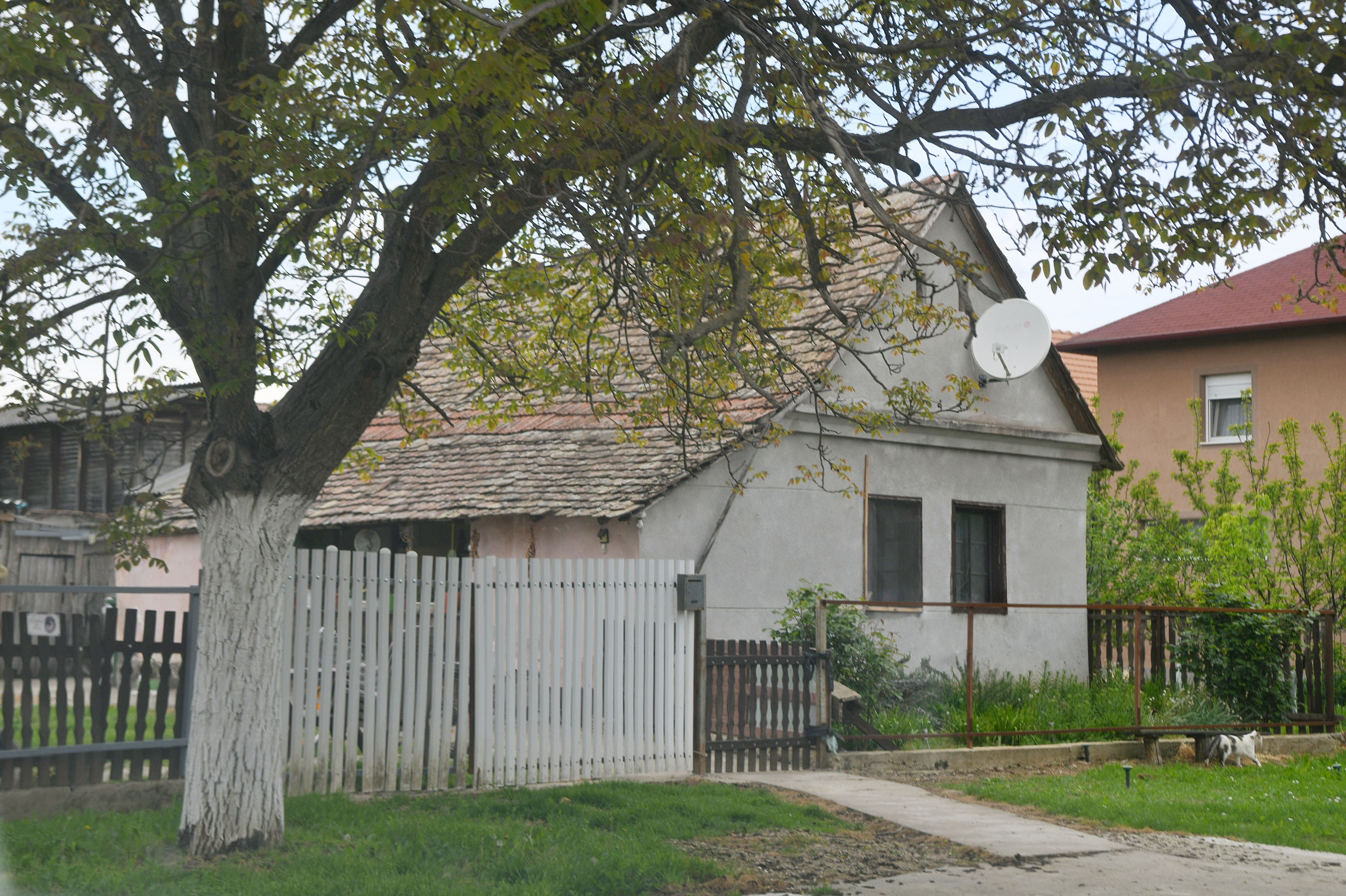 Hrtkovci ubistvo 210426 Foto Filip Kraincanic (3).jpg