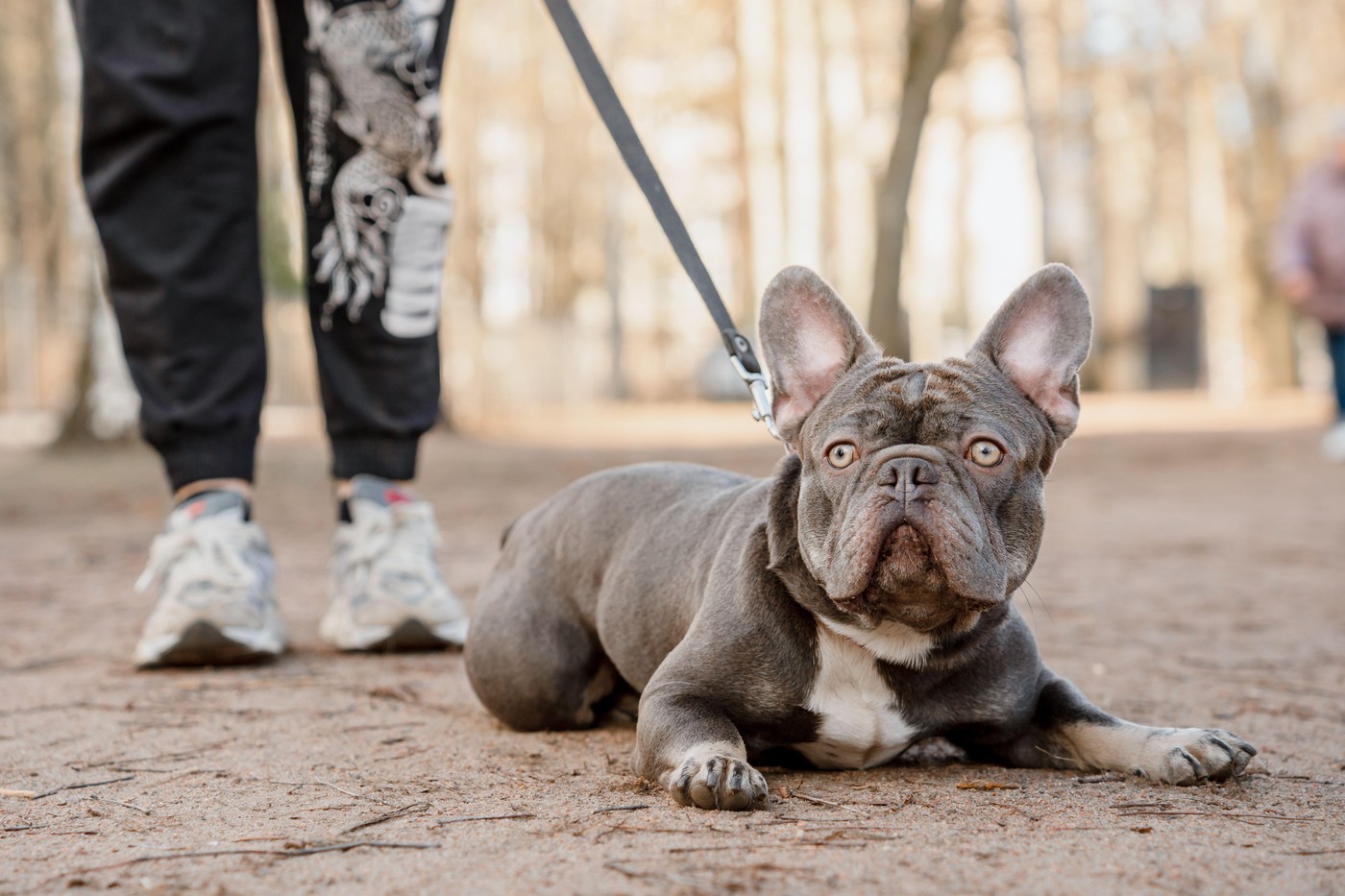 profimedia-1093239325