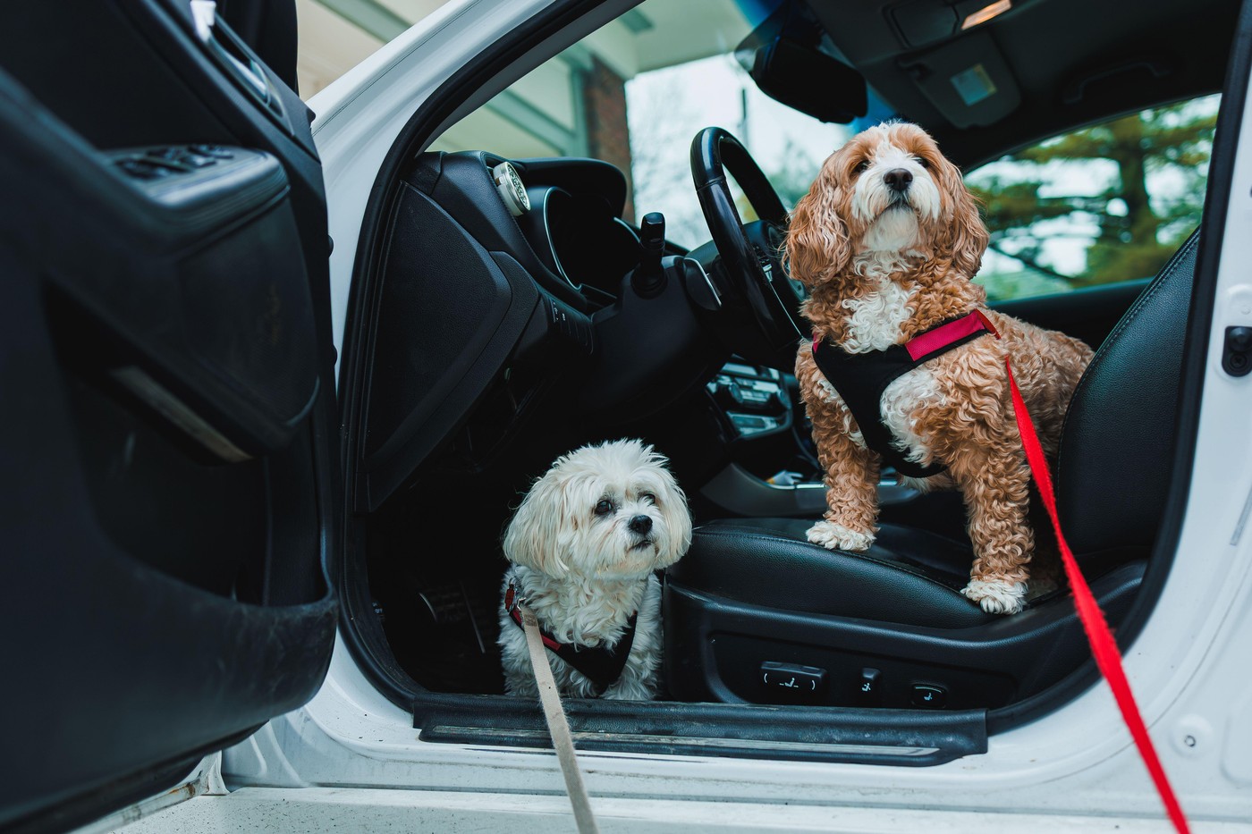 profimedia-1091153496