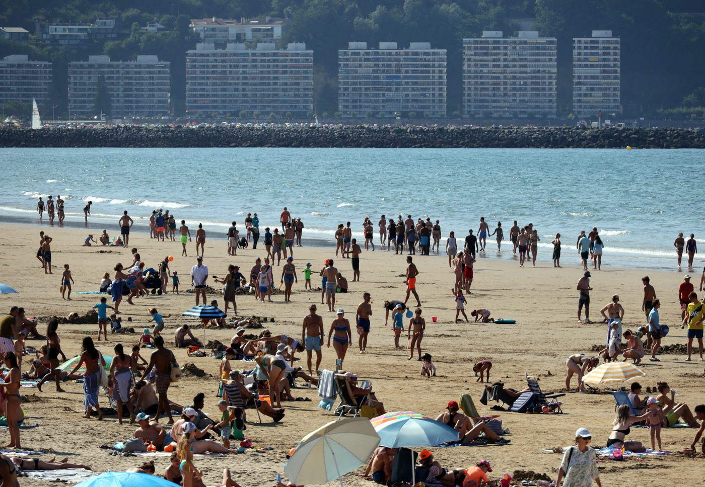 Meduza je primećena na plaži u Japanu